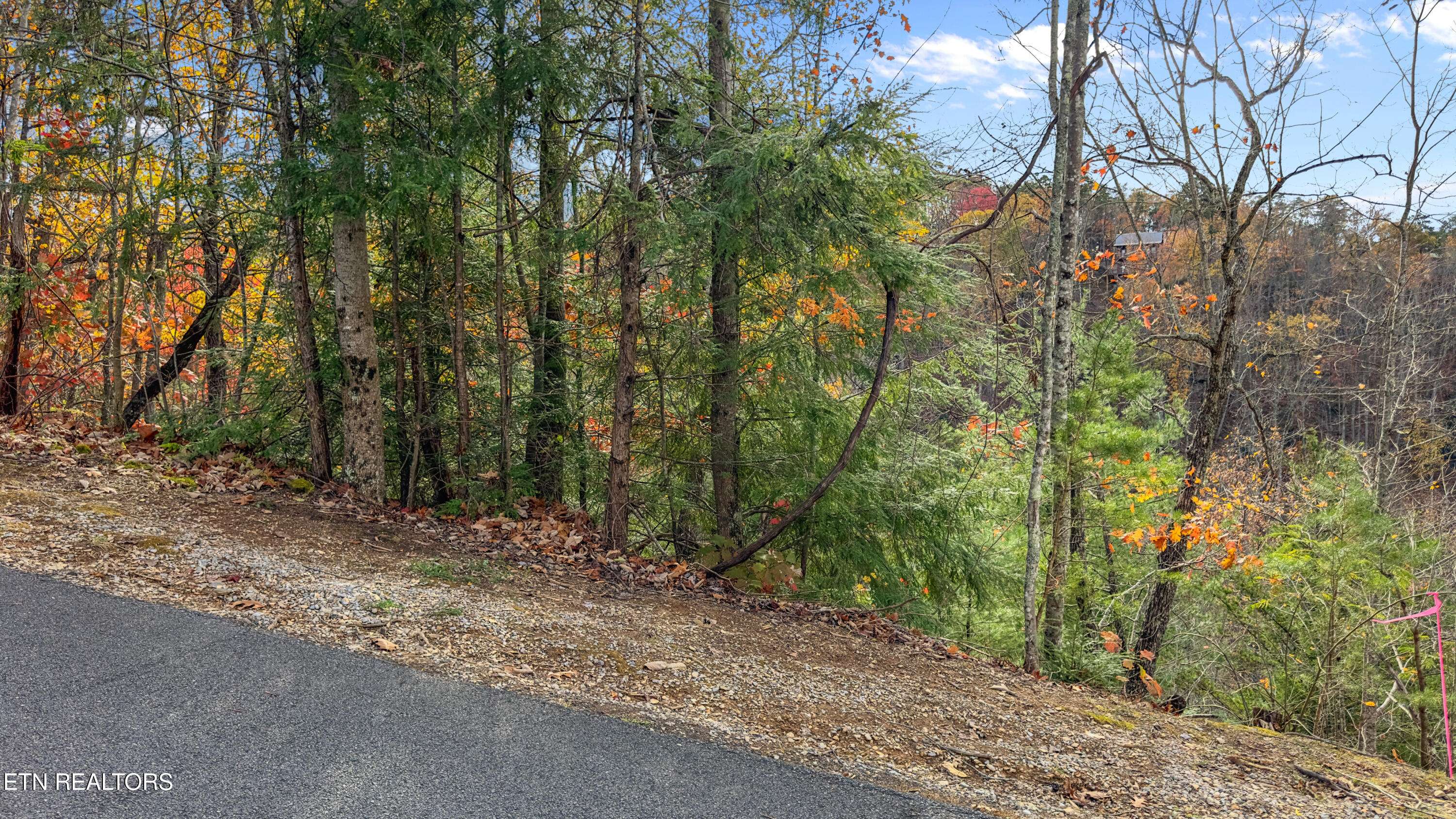 Sevierville, TN 37876,756 Ski View LN