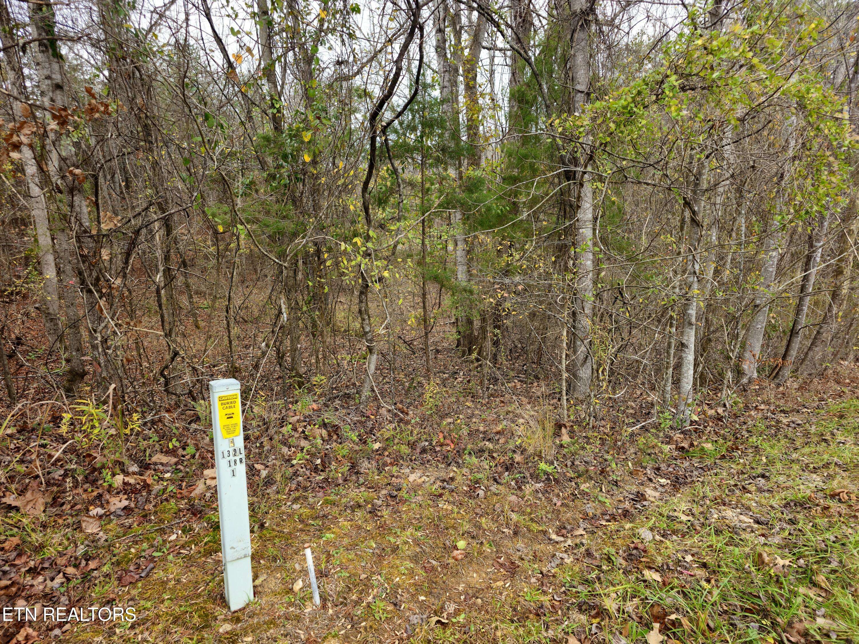 Spencer, TN 38585,Lot 67&68 Hidden River Ave