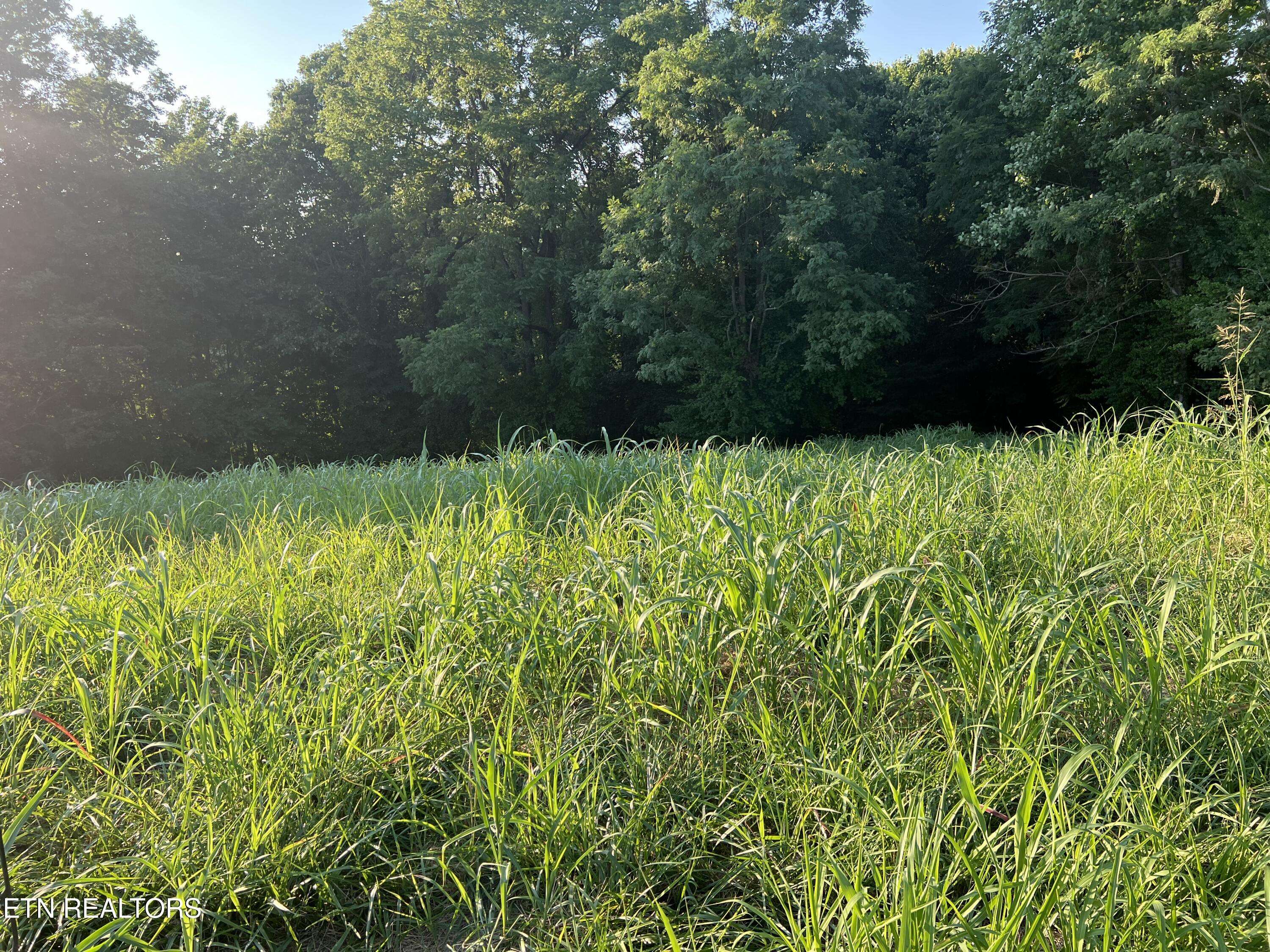 Byrdstown, TN 38549,1.65 AC. Lot 18 - Amonett CIR