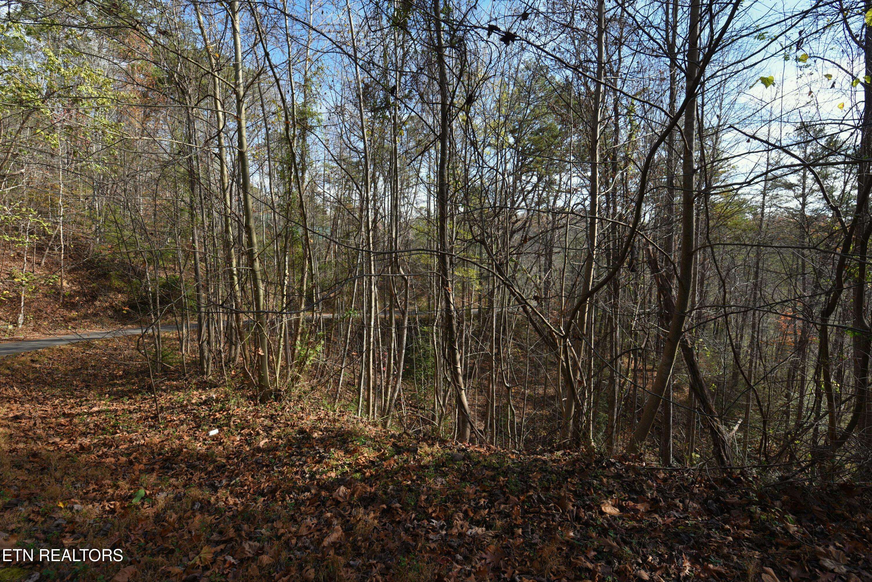 Sevierville, TN 37876,Legend Lot 9