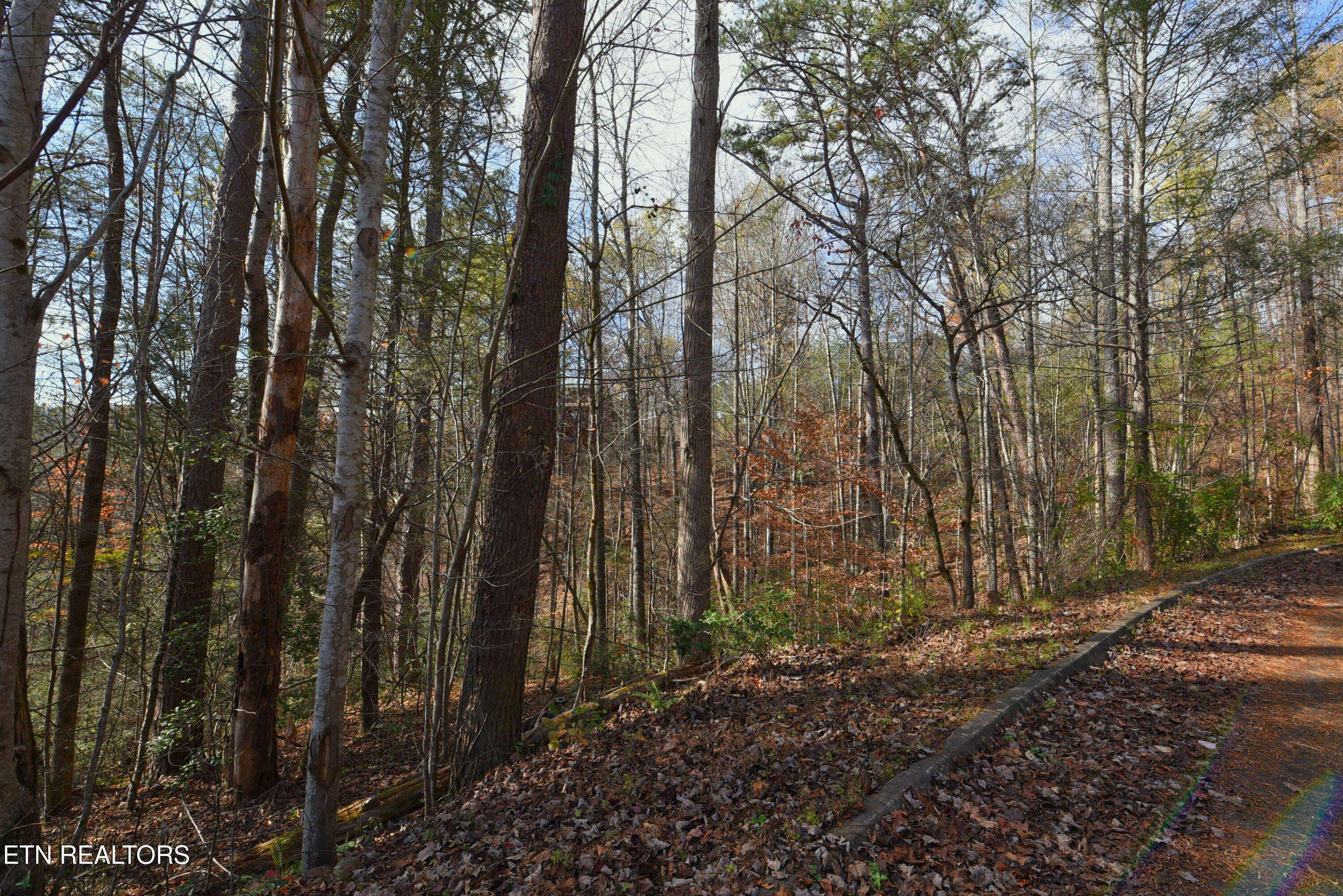 Sevierville, TN 37876,Legend Lot 9