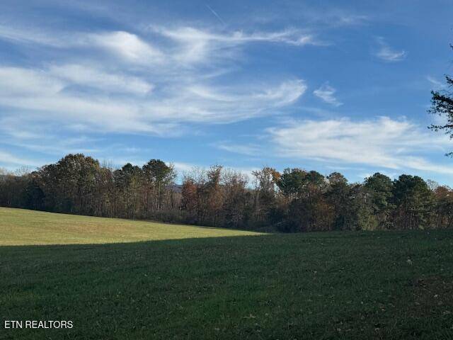 Etowah, TN 37331,55 acres County Road 784 / 792R