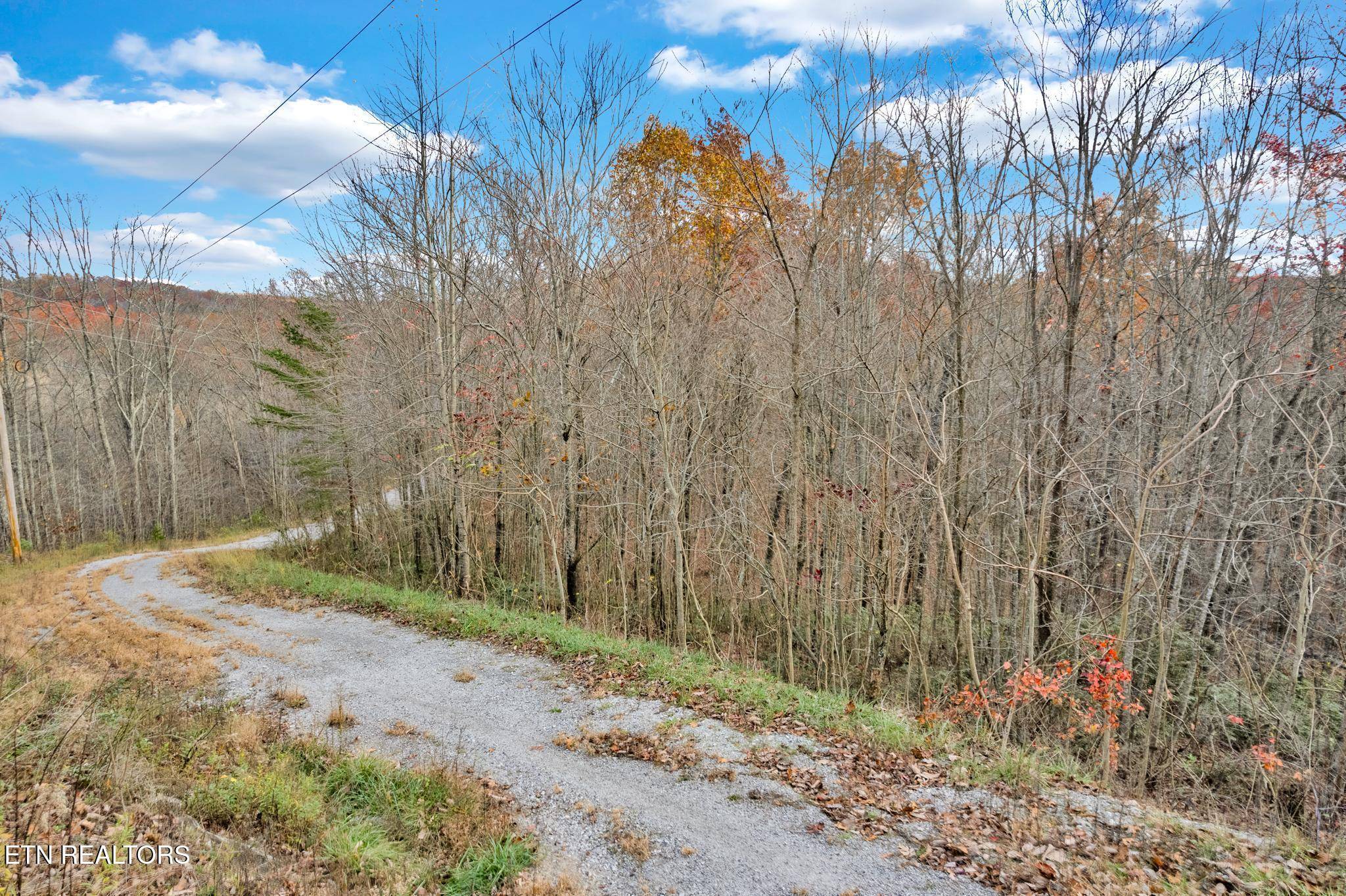 Crawford, TN 38554,00 Homestead LN