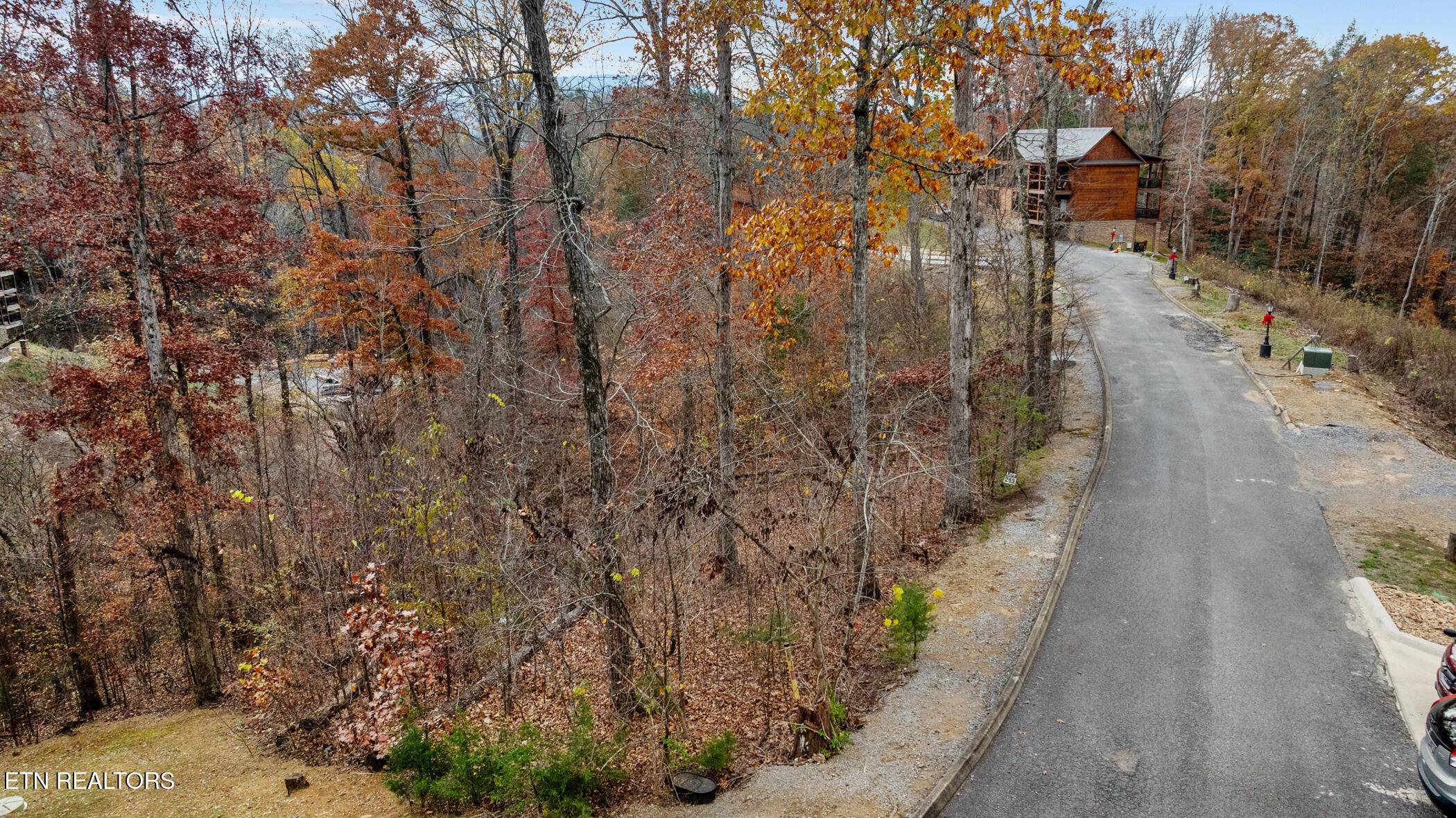 Sevierville, TN 37876,Lot 213 Hawks Nest WAY