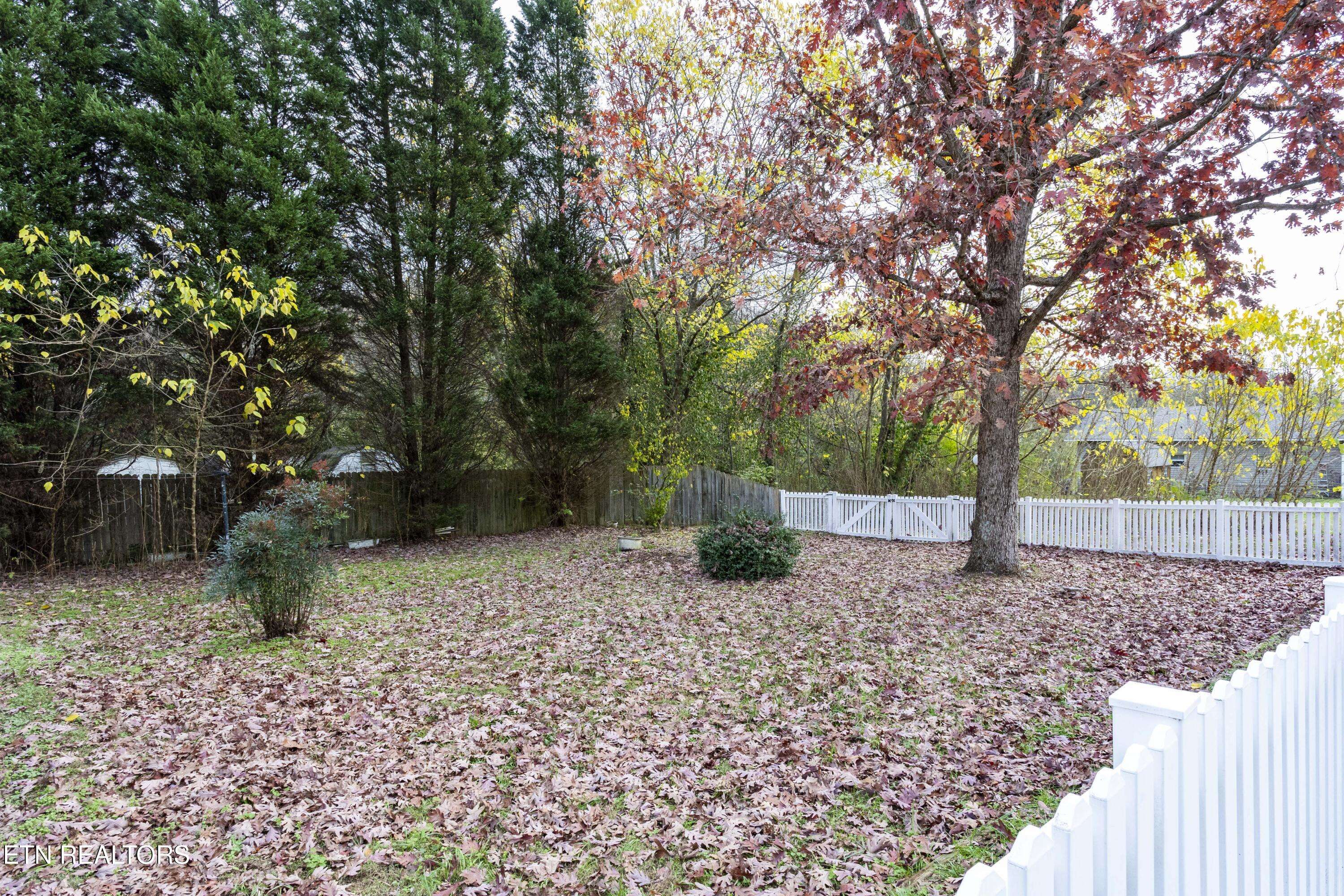 Rockwood, TN 37854,400 Furnace Ave