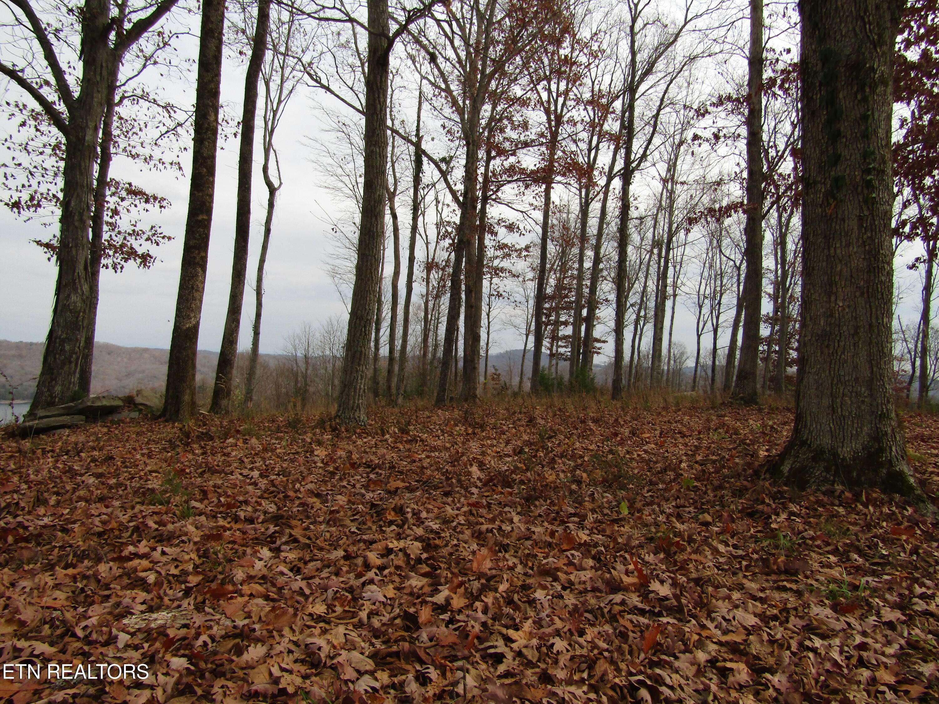 Hilham, TN 38568,Lot 27C Rockfish Rd