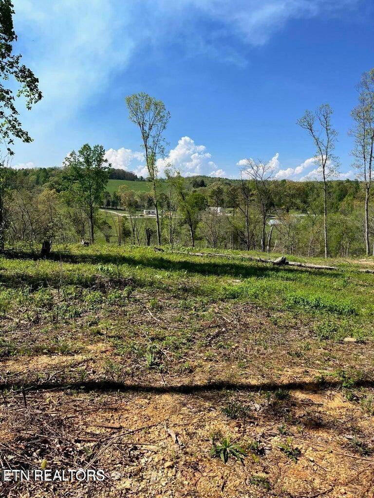 Andersonville, TN 37705,Tract 1 Mill Creek Rd