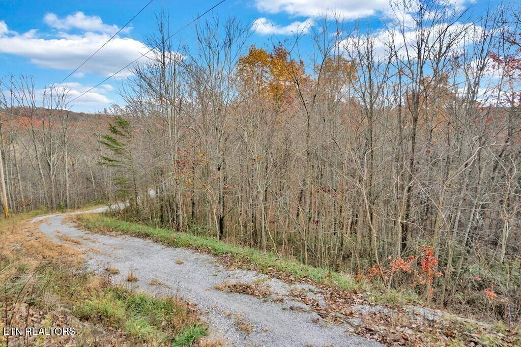 Crawford, TN 38554,5.02 Ac Homestead LN