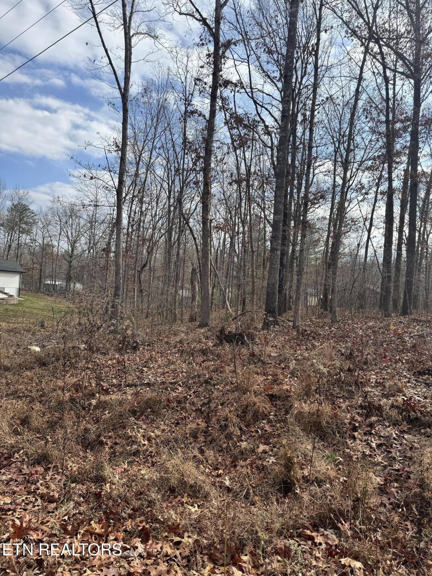 Crossville, TN 38555,Peachtree DR