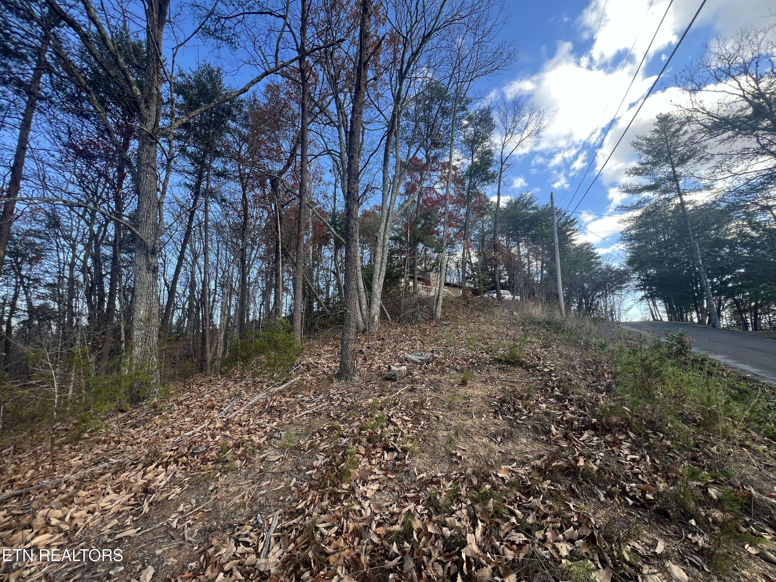 Sevierville, TN 37862,Pine Haven DR
