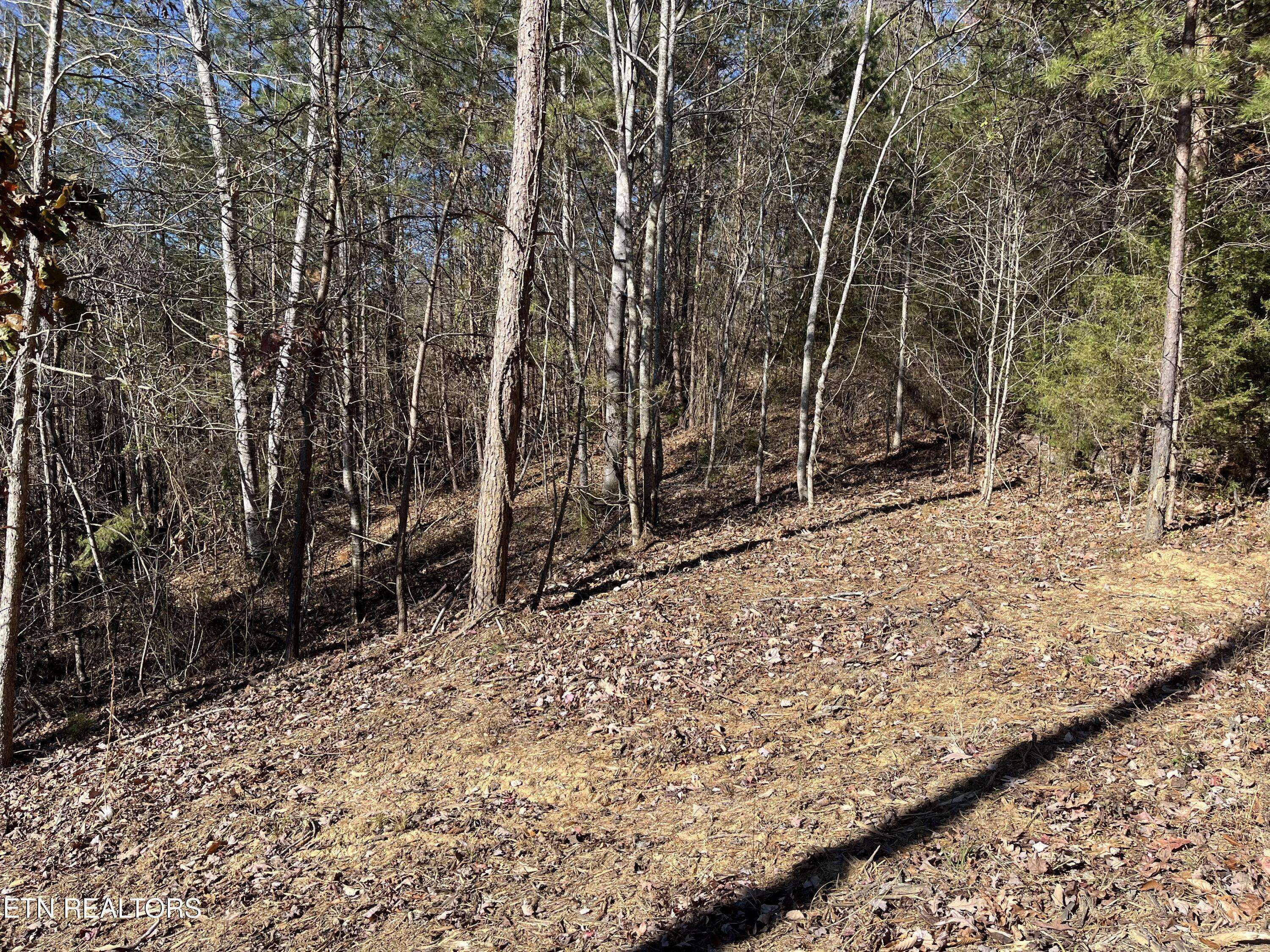 Sharps Chapel, TN 37866,Lot 155 Emerald Point