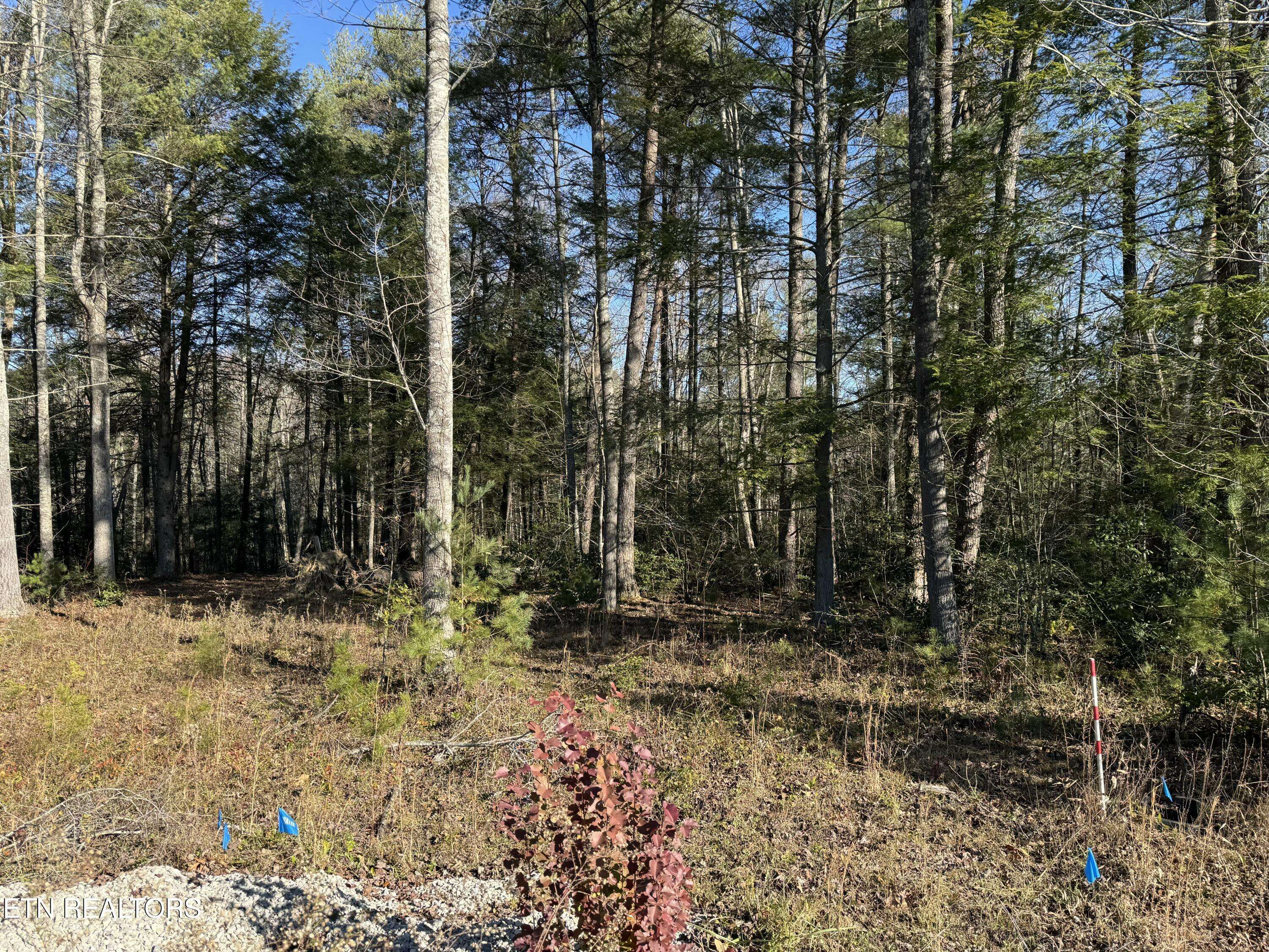 Crossville, TN 38571,lot 17 Ferry Bend Tr