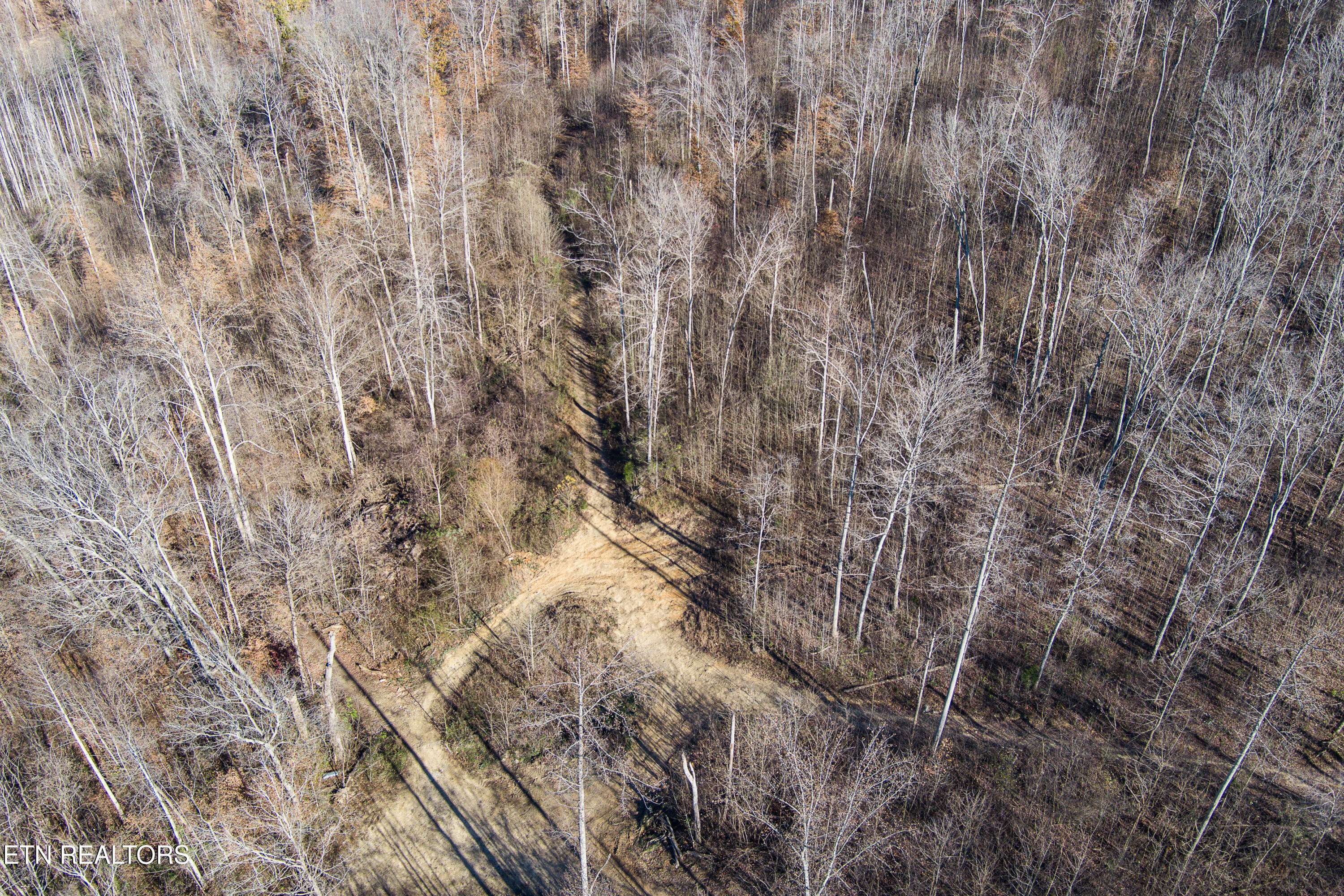 Rickman, TN 38580,54.88 AC Nelson Lane