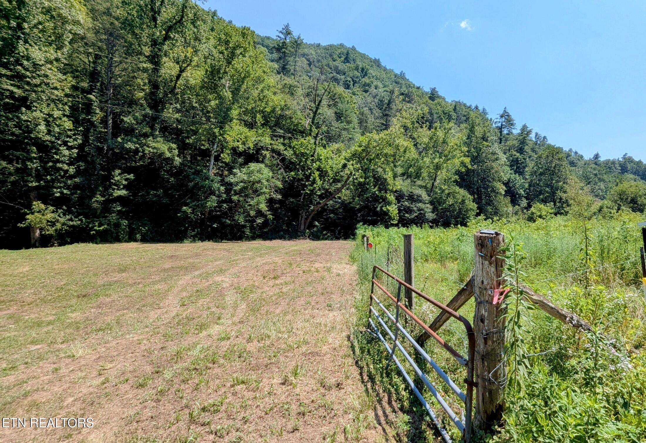 Townsend, TN 37882,Carrs Creek Rd
