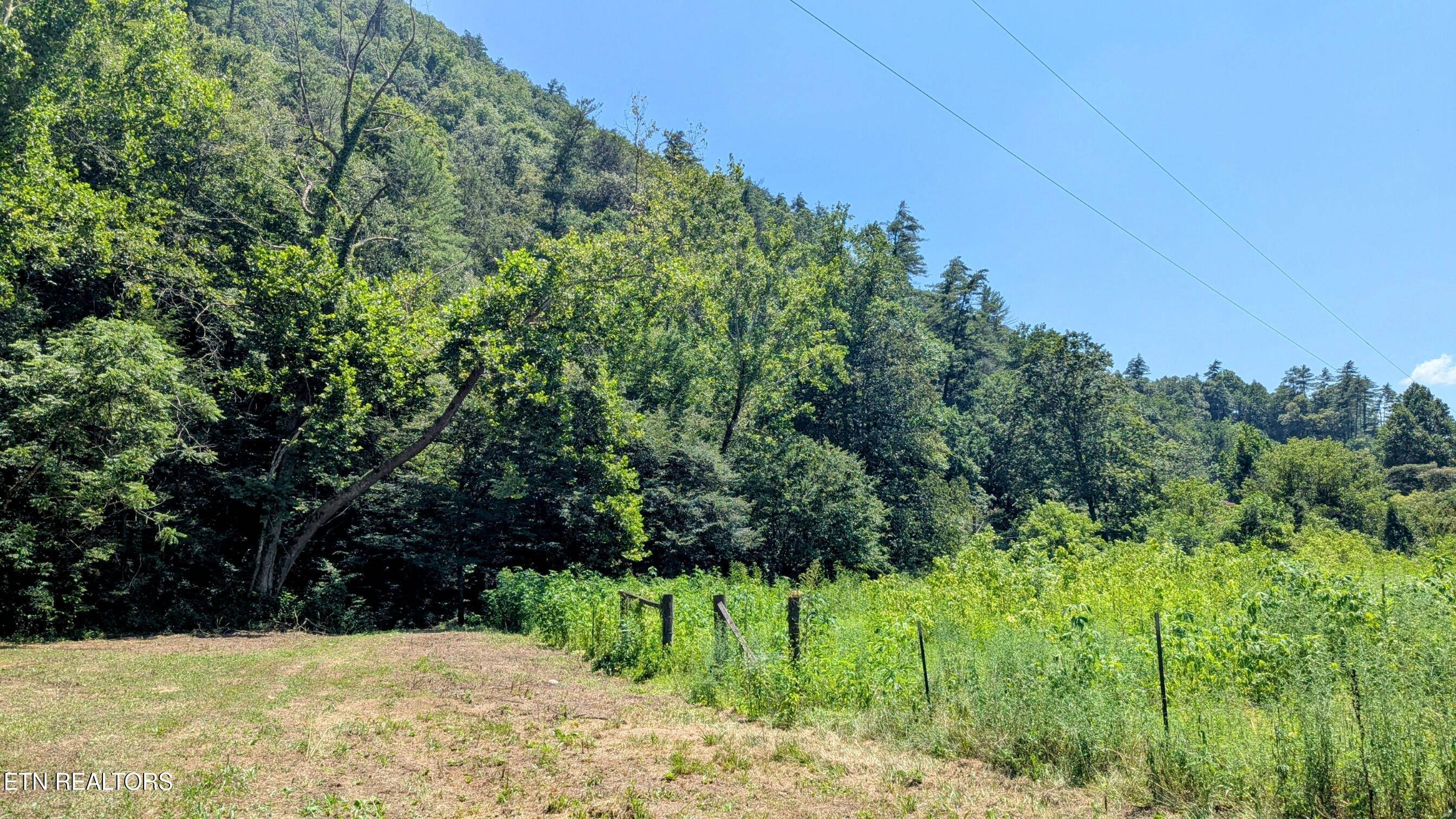 Townsend, TN 37882,Carrs Creek Rd
