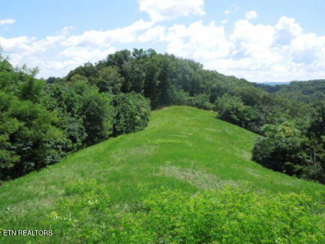 Hilham, TN 38568,Lot 65AA Turtle Rd