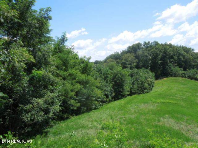 Hilham, TN 38568,Lot 65AA Turtle Rd