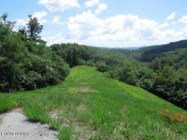 Hilham, TN 38568,Lot 65AA Turtle Rd