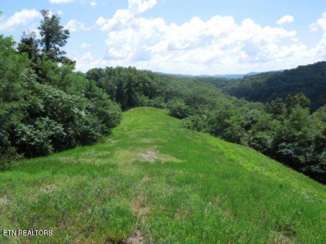 Hilham, TN 38568,Lot 65AA Turtle Rd