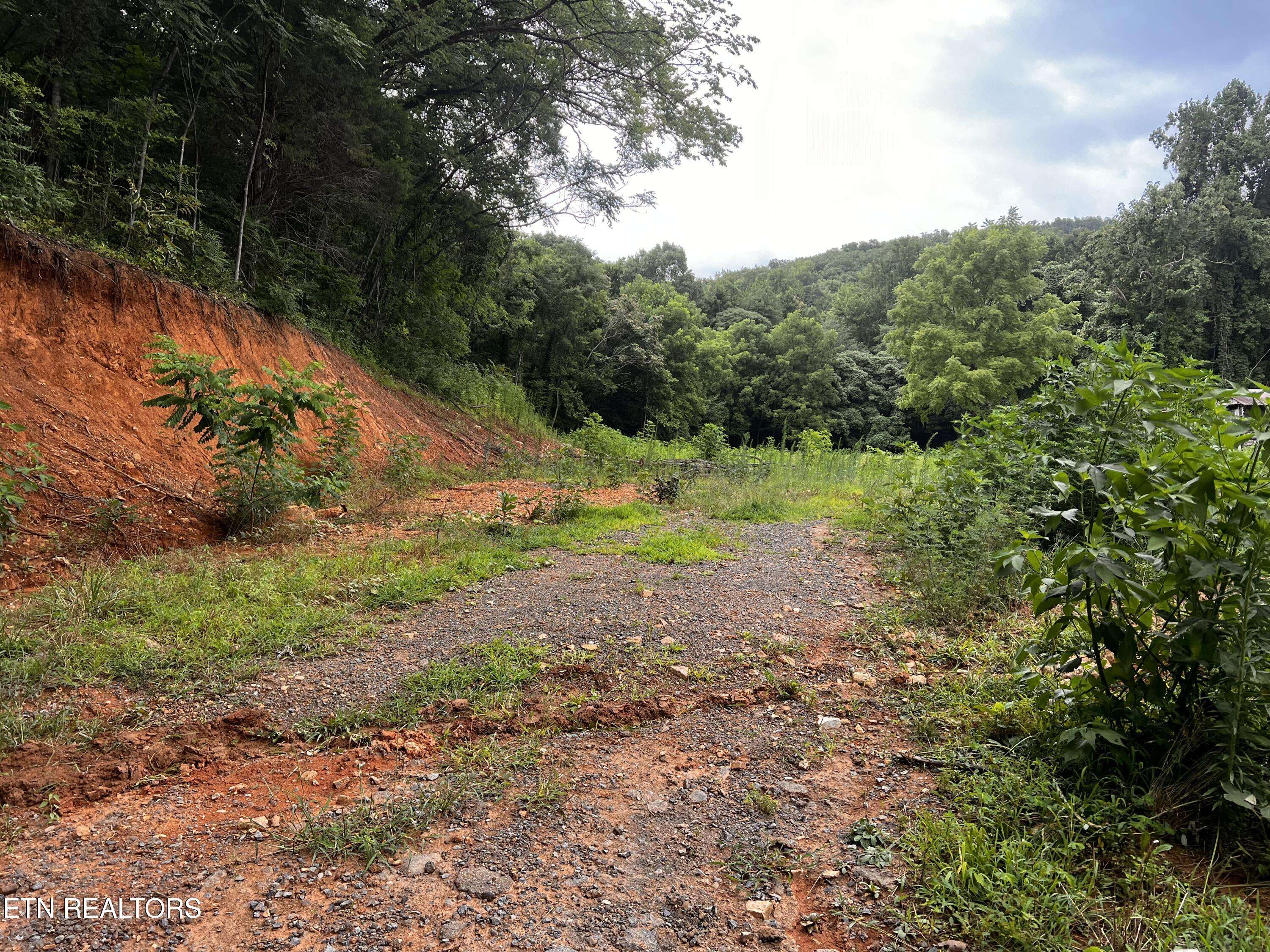 Newport, TN 37821,1580 Restful WAY