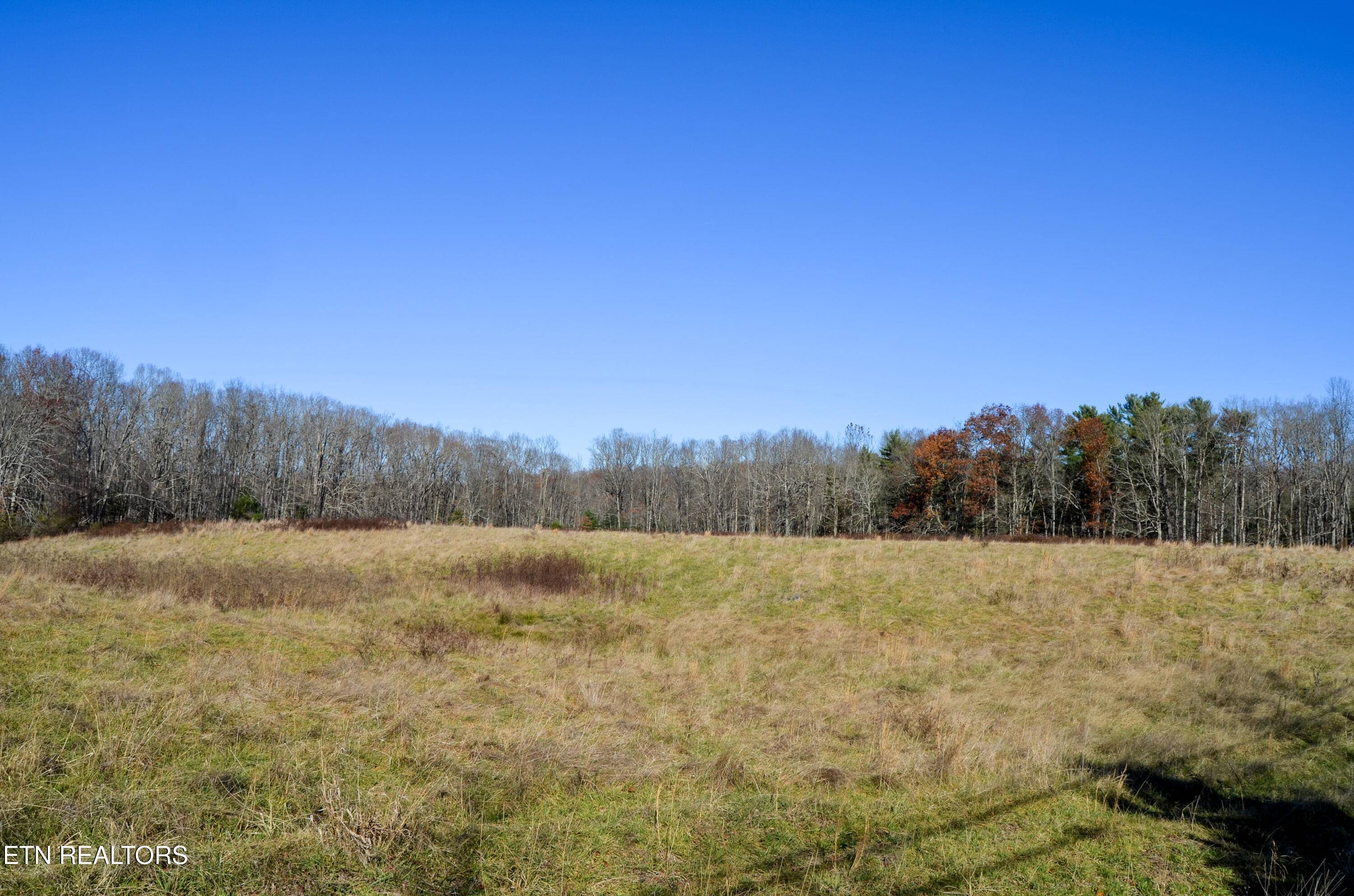 Crossville, TN 38555,Sparta Hwy 31.65 +/- Acres