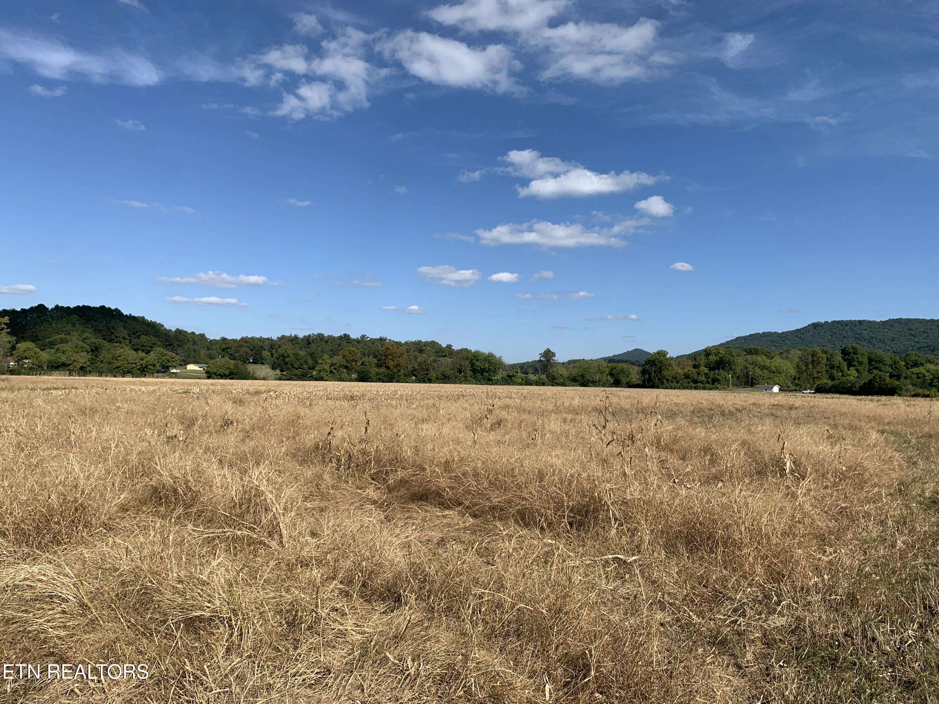 Tellico Plains, TN 37385,0 Reliance Rd