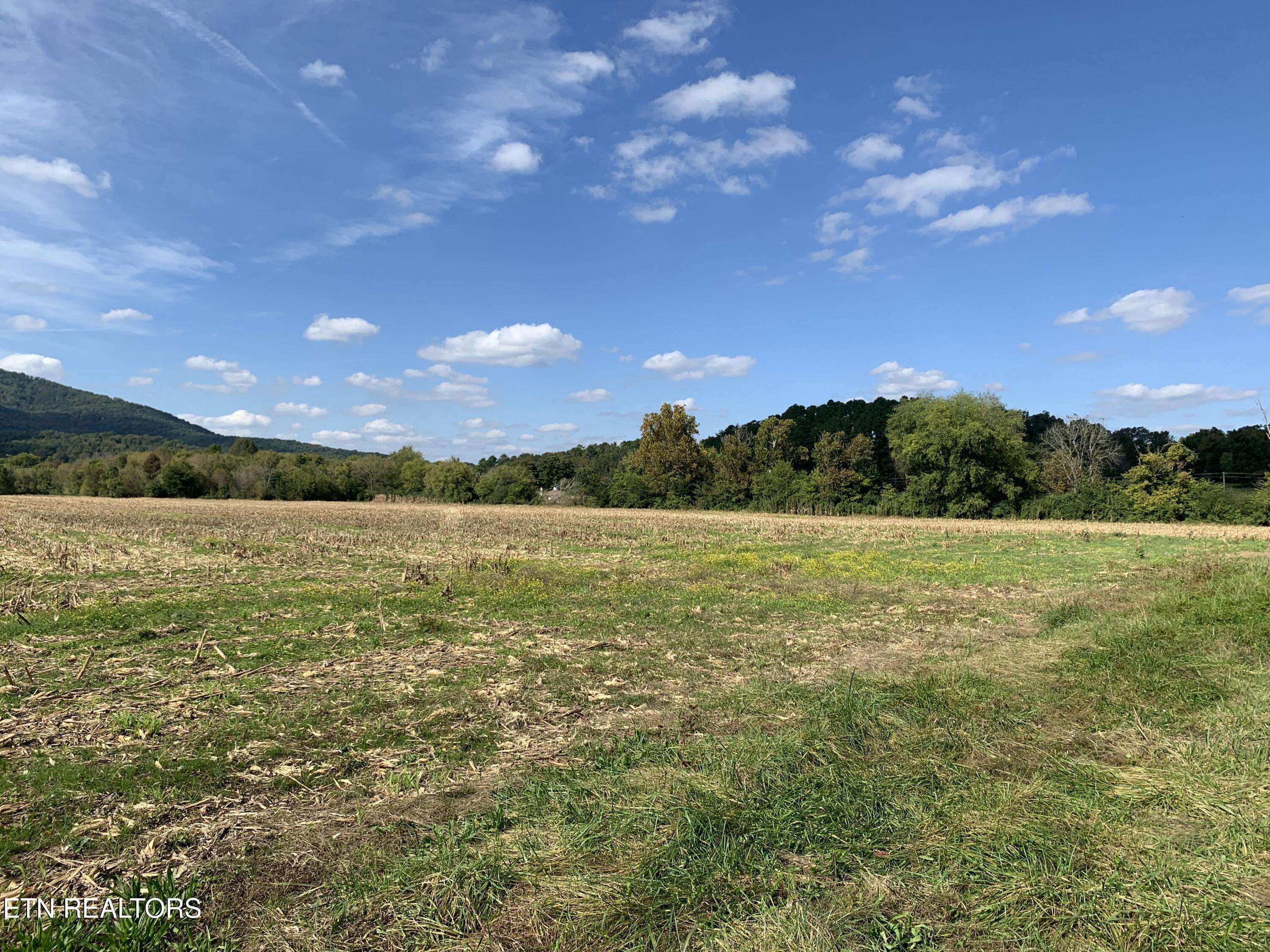 Tellico Plains, TN 37385,0 Reliance Rd