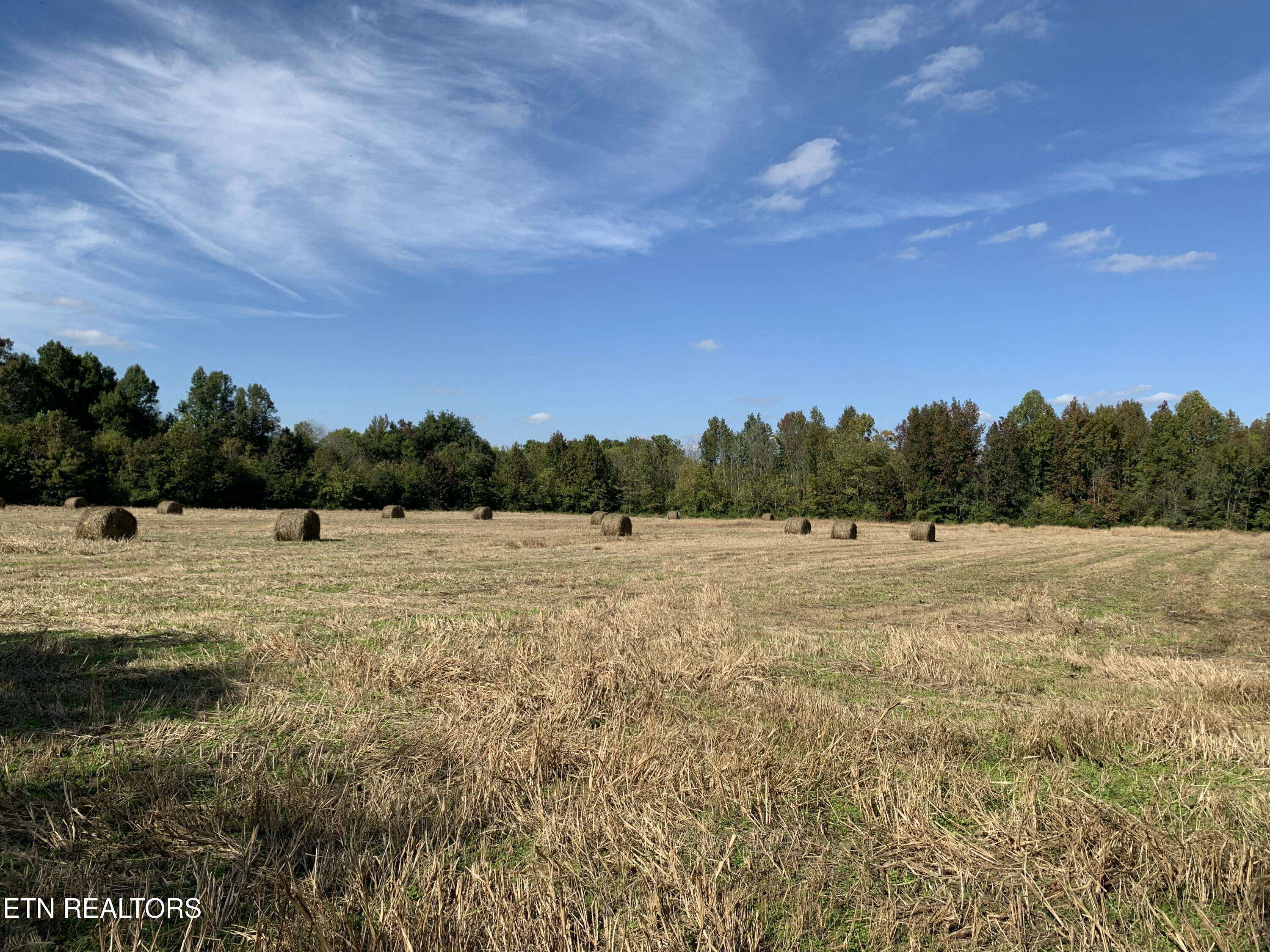 Tellico Plains, TN 37385,0 Reliance Rd