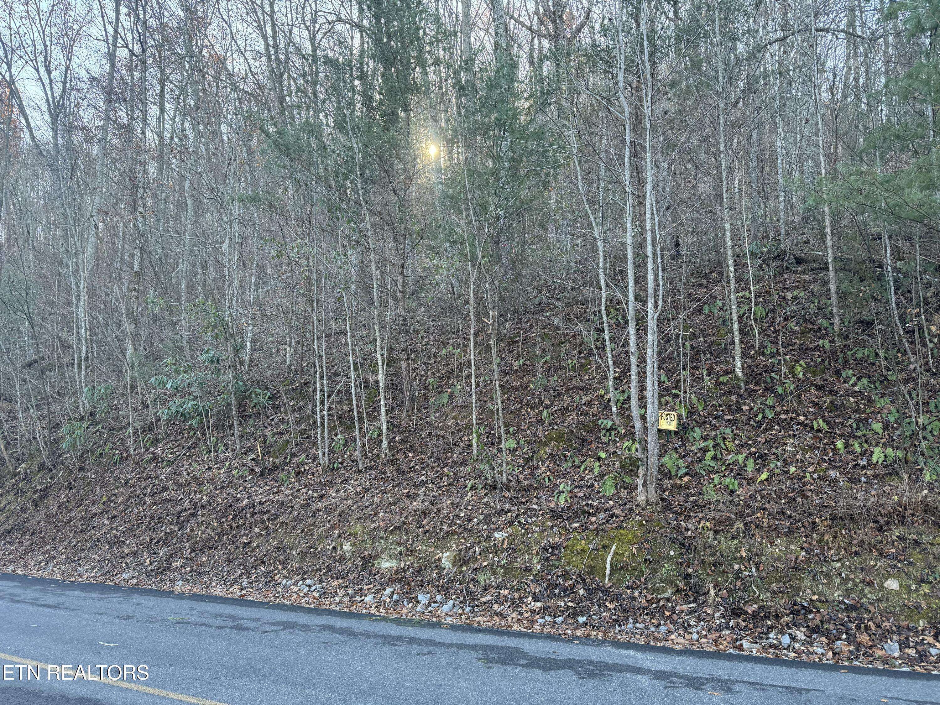 Sevierville, TN 37862,Lot 57 Whetstone Rd