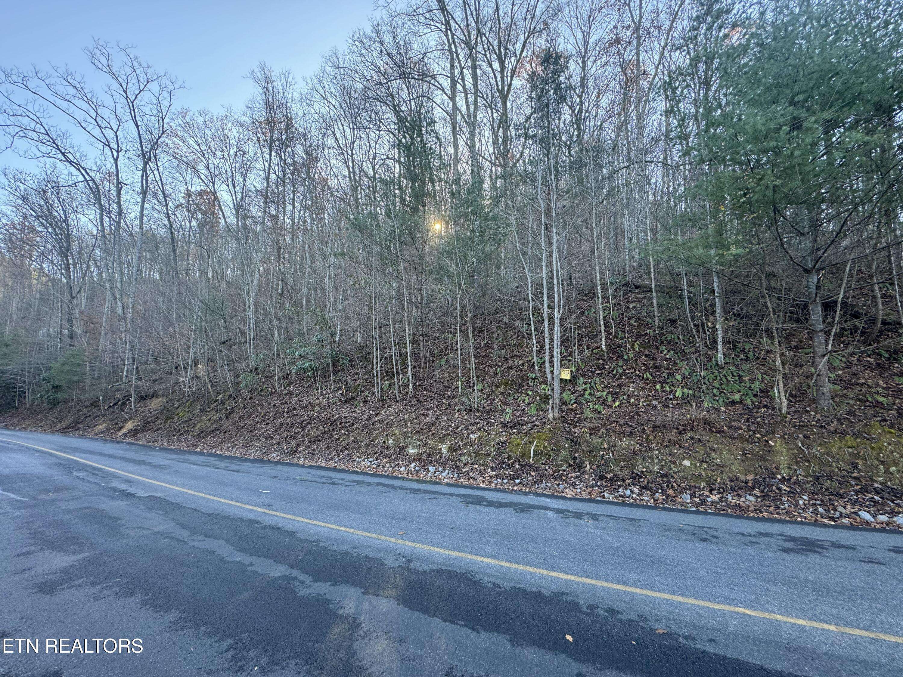 Sevierville, TN 37862,Lot 57 Whetstone Rd