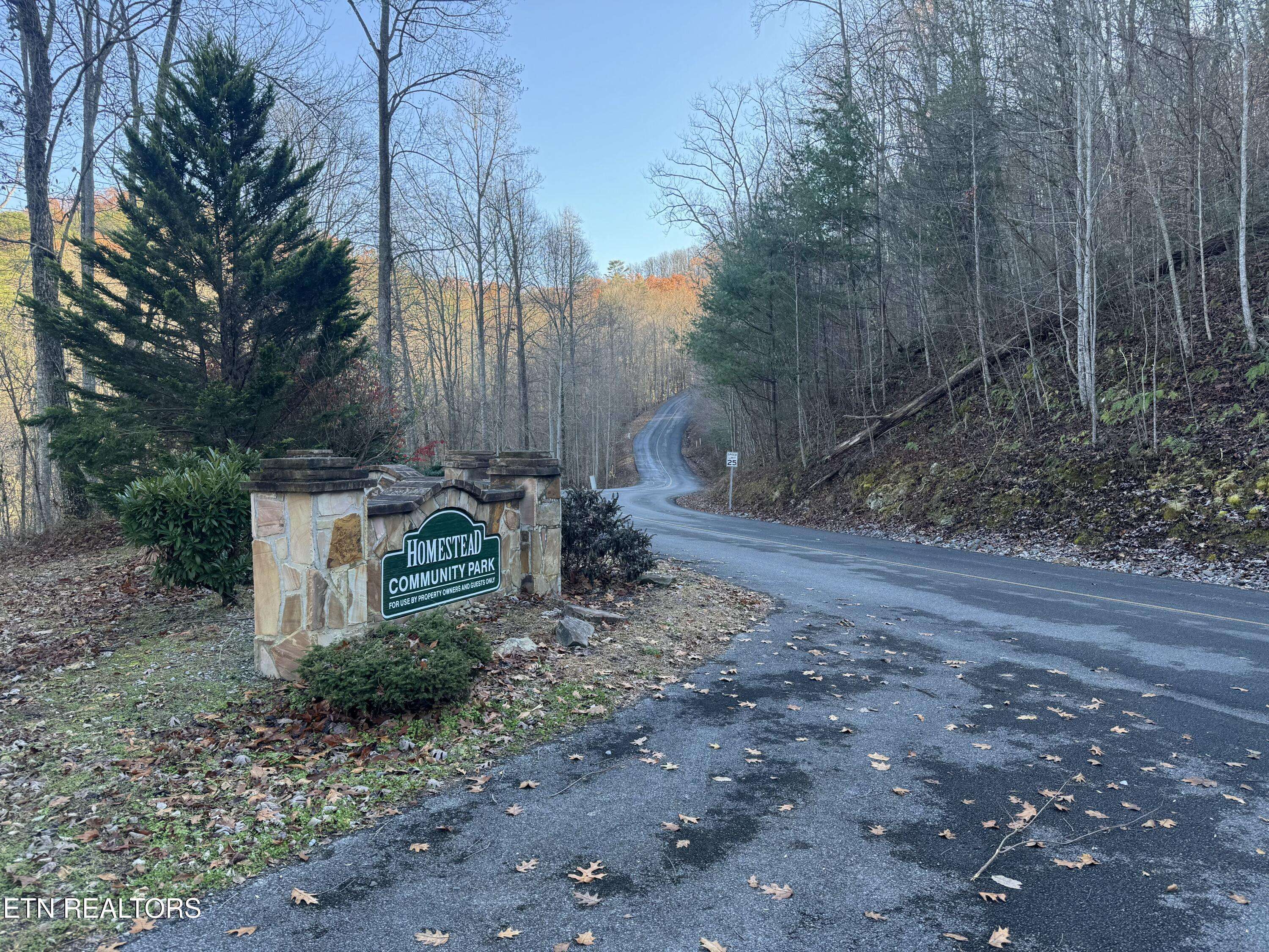 Sevierville, TN 37862,Lot 57 Whetstone Rd