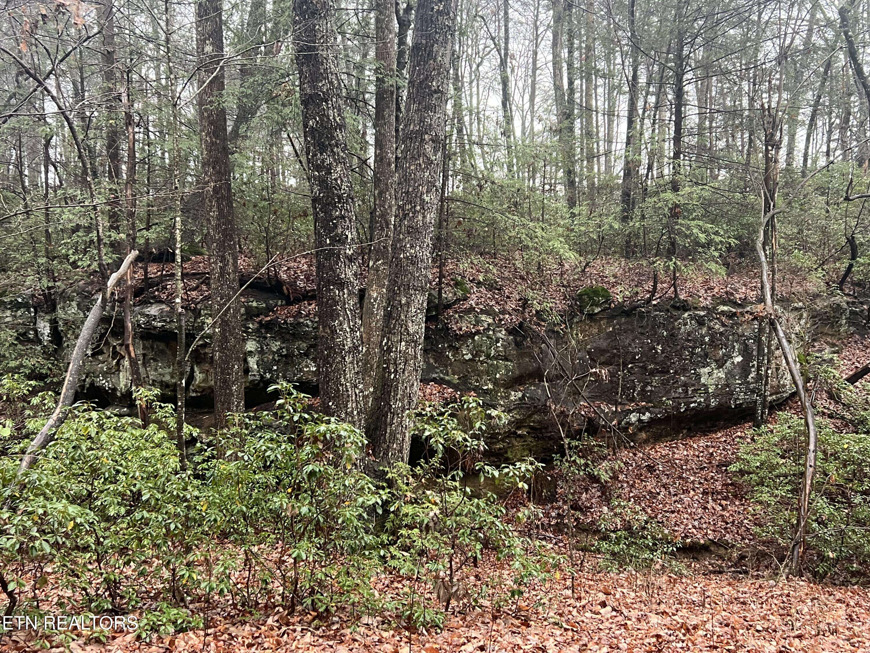 Monterey, TN 38574,Lot 23 Overlook Pl. #5