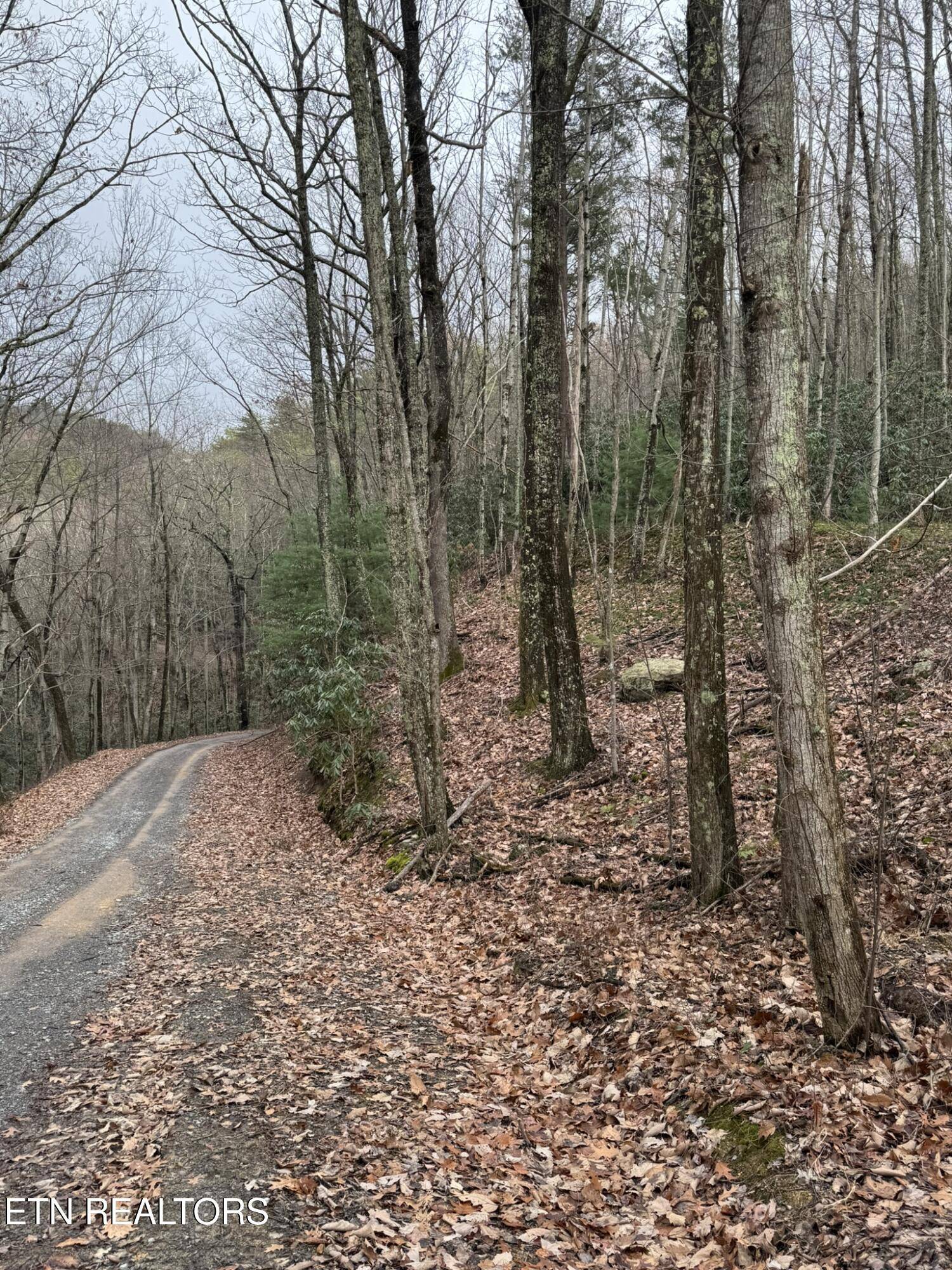 Sevierville, TN 37876,Lot 6-7 John Sevier DR