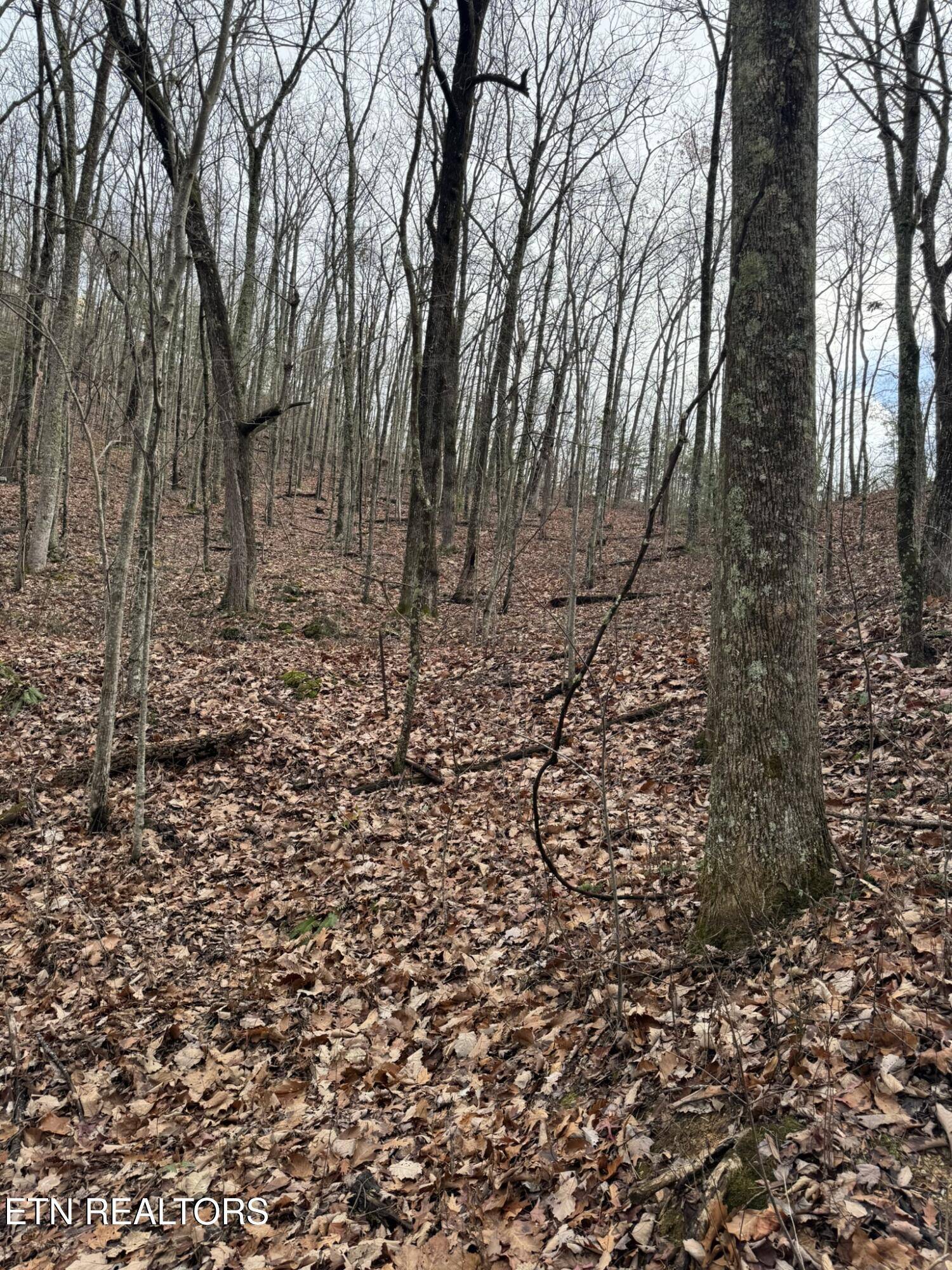 Sevierville, TN 37876,Lot 6-7 John Sevier DR