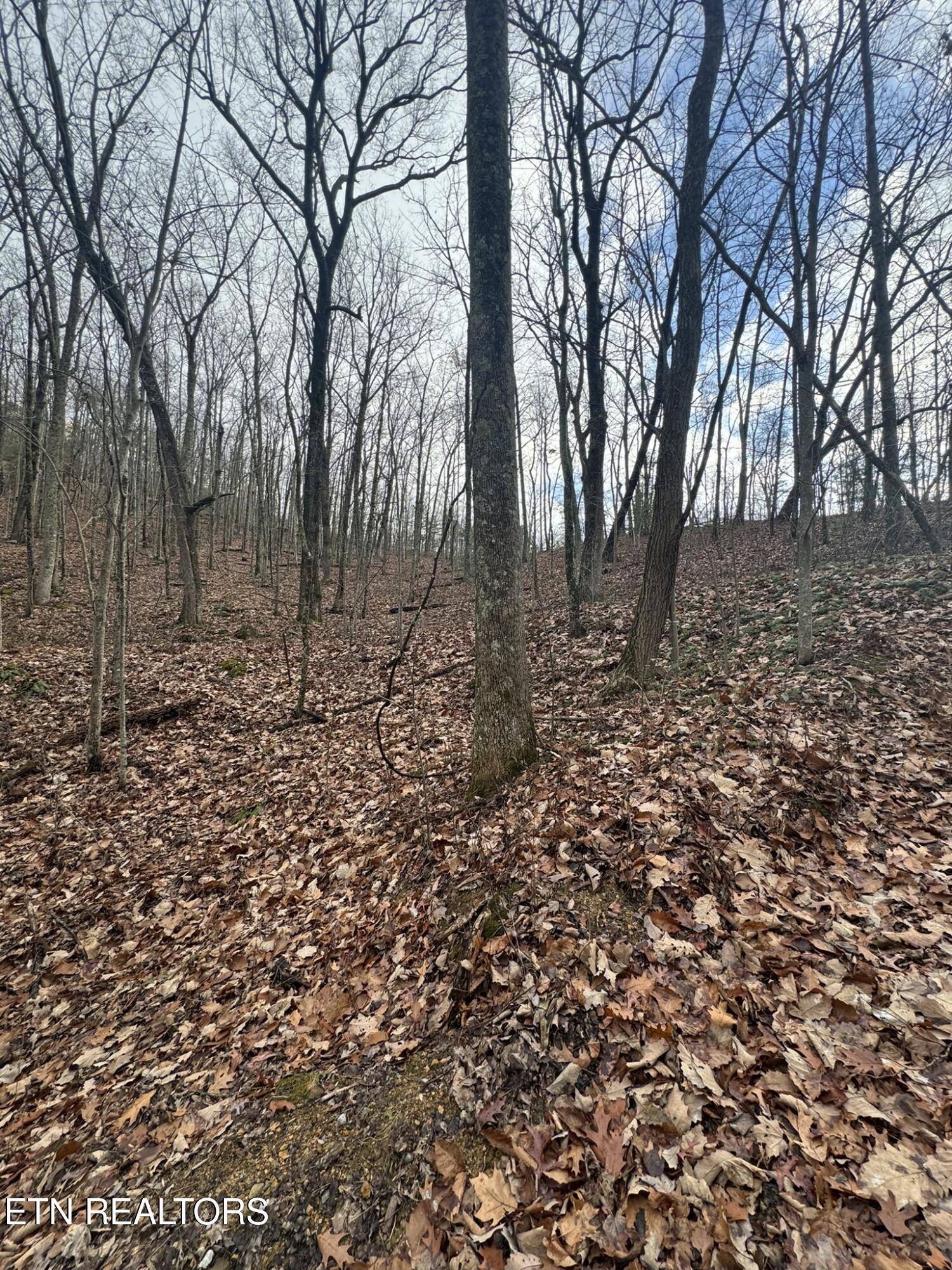 Sevierville, TN 37876,Lot 6-7 John Sevier DR