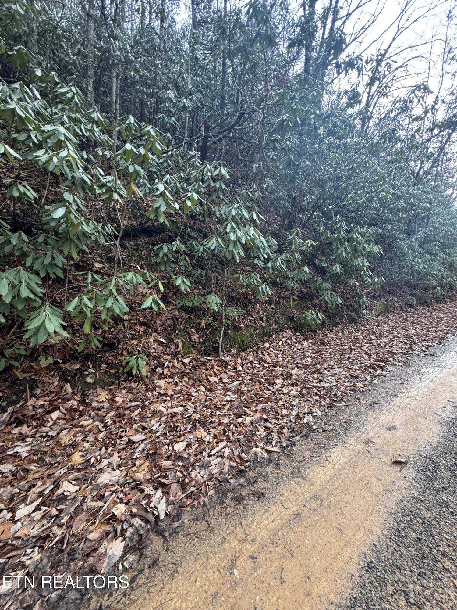 Sevierville, TN 37876,Lot 14 John Sevier DR