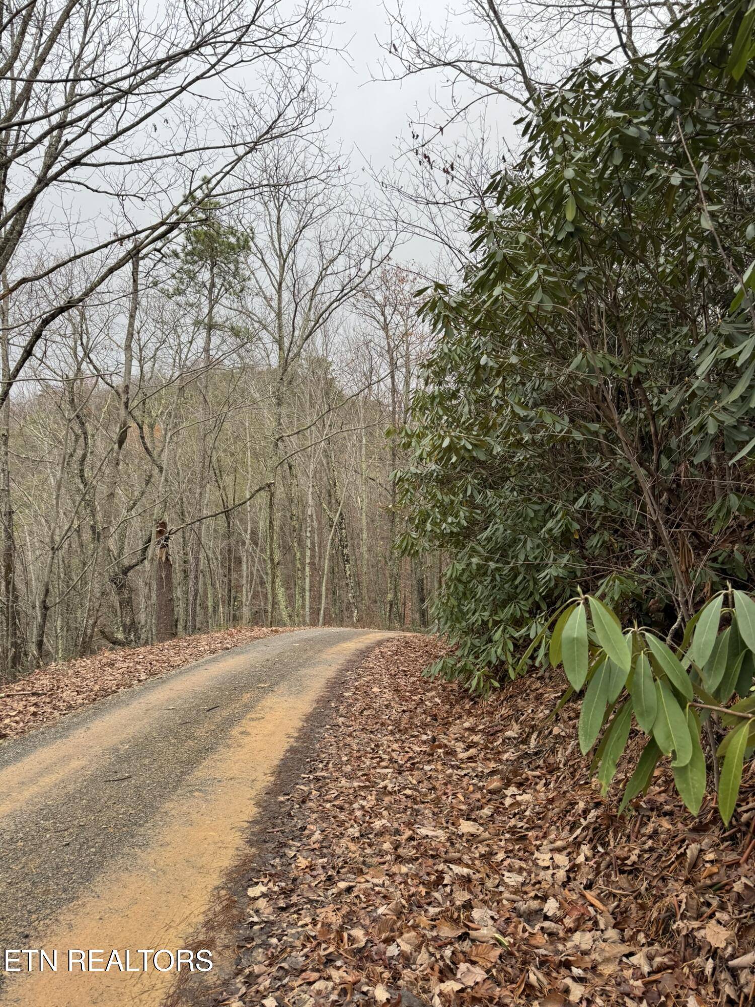 Sevierville, TN 37876,Lot 14 John Sevier DR