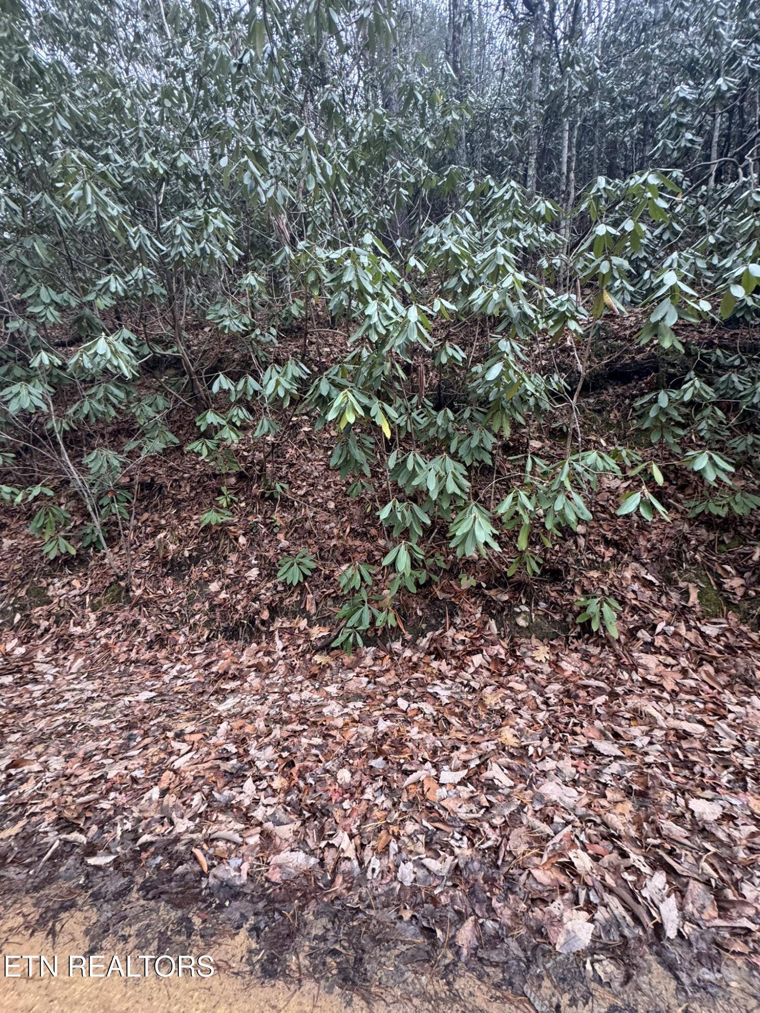 Sevierville, TN 37876,Lot 14 John Sevier DR