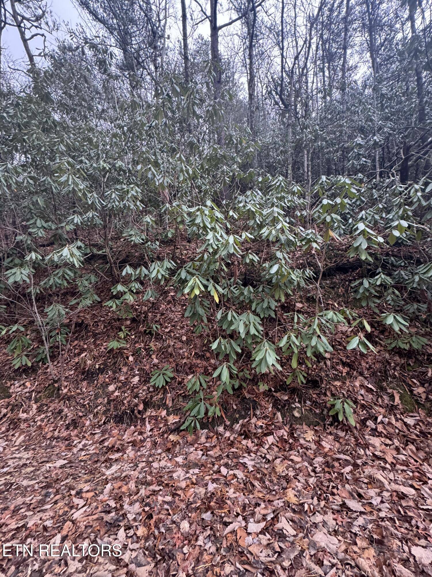 Sevierville, TN 37876,Lot 14 John Sevier DR