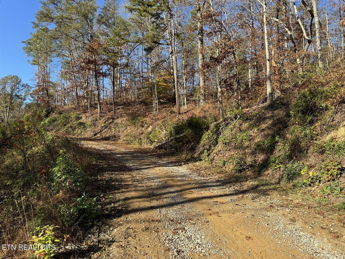 Sevierville, TN 37876,0 Mulberry WAY