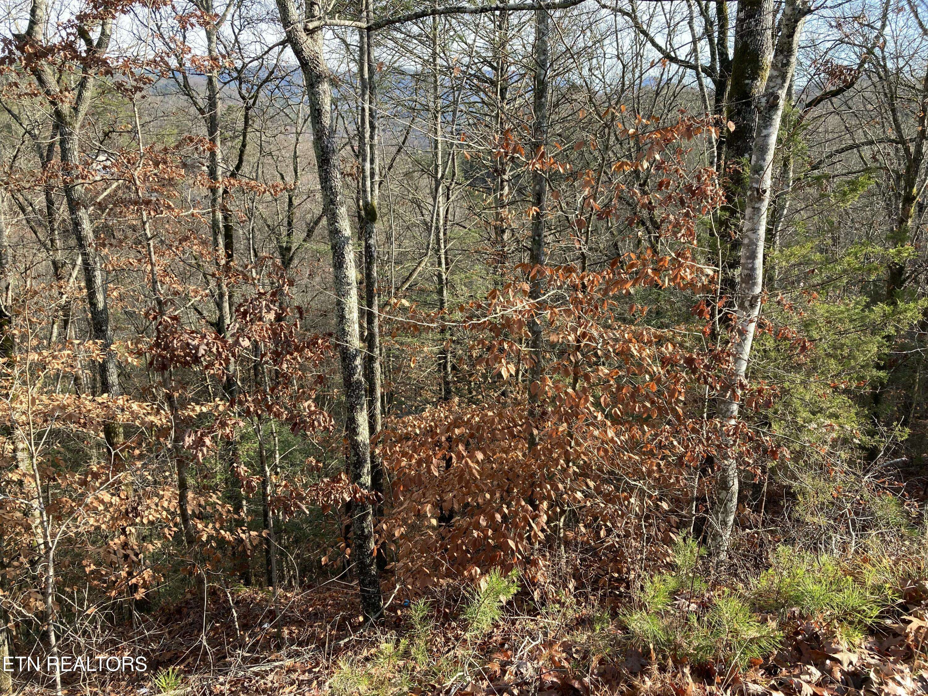 Sevierville, TN 37876,Lot 51 Red Cedar Ln