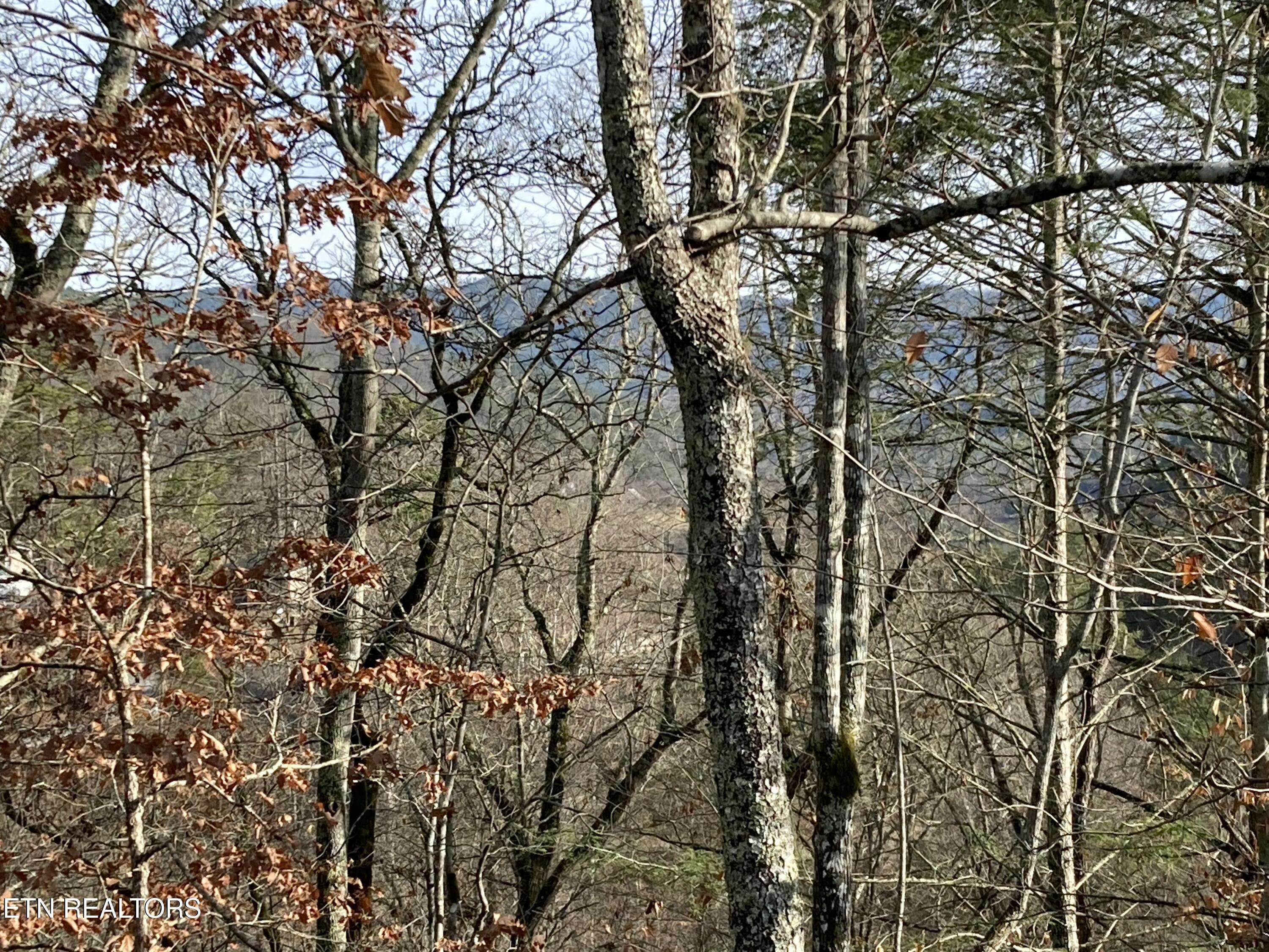 Sevierville, TN 37876,Lot 51 Red Cedar Ln