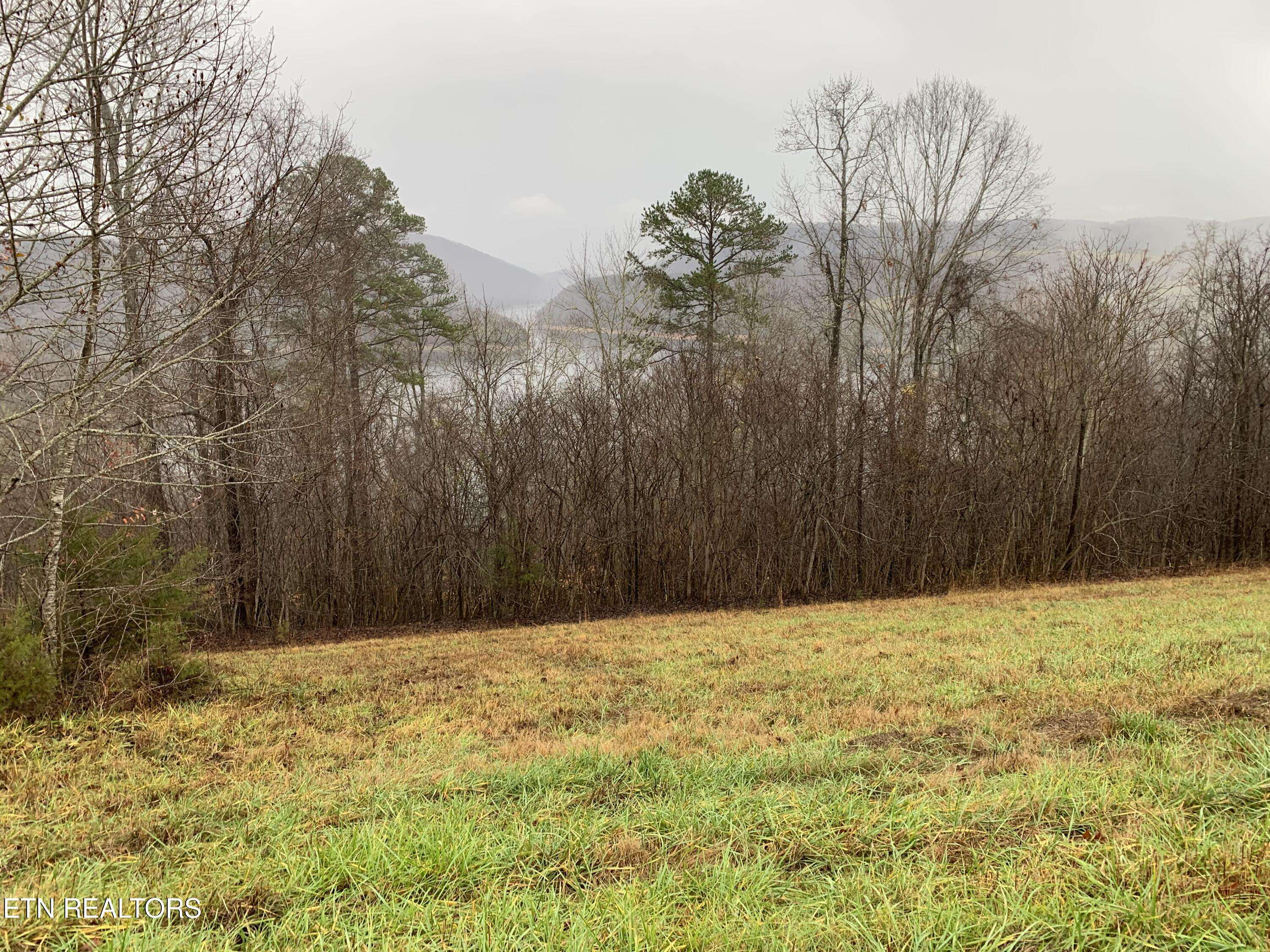 New Tazewell, TN 37825,Lot 321 Sapphire CT