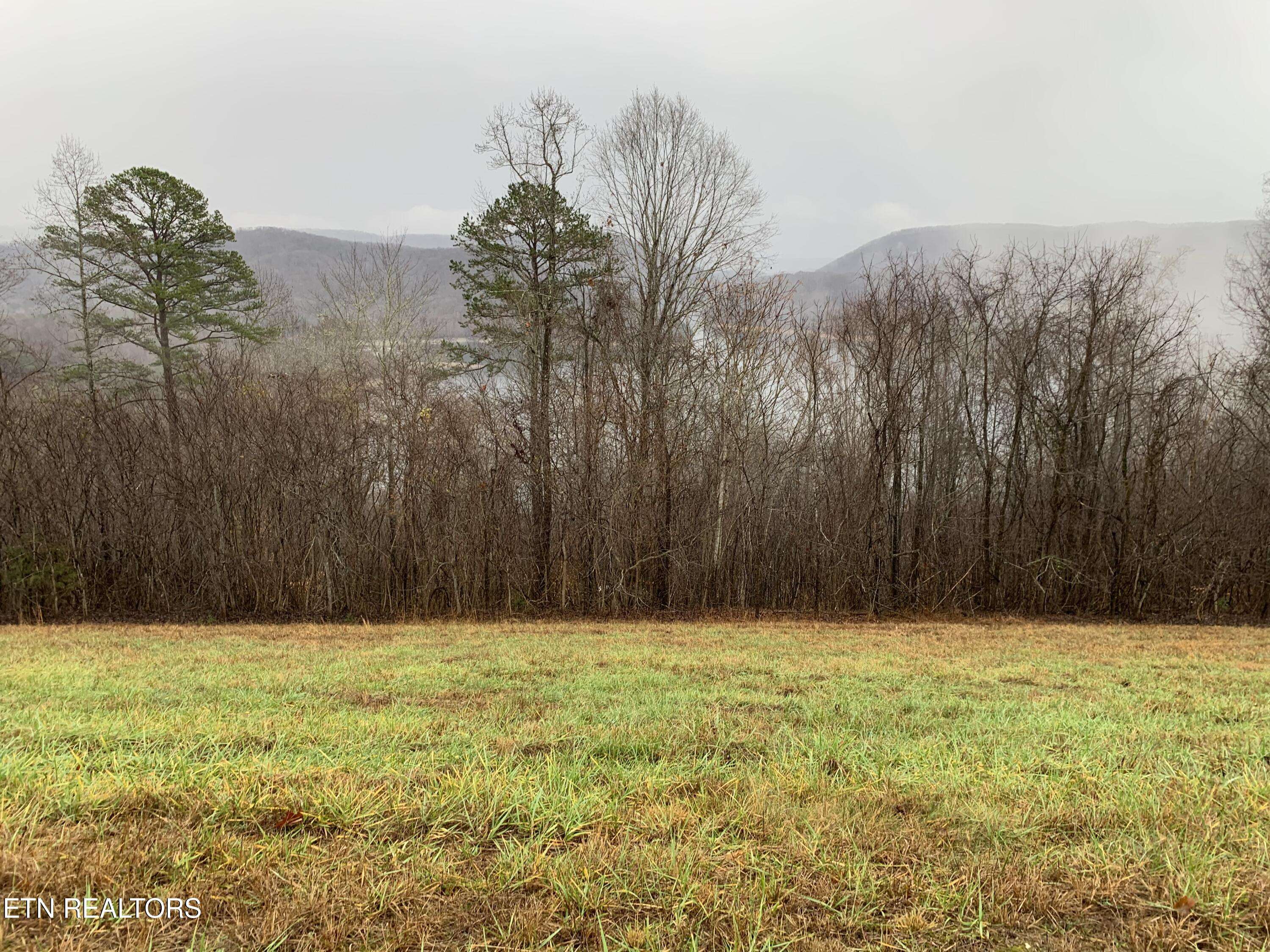 New Tazewell, TN 37825,Lot 321 Sapphire CT