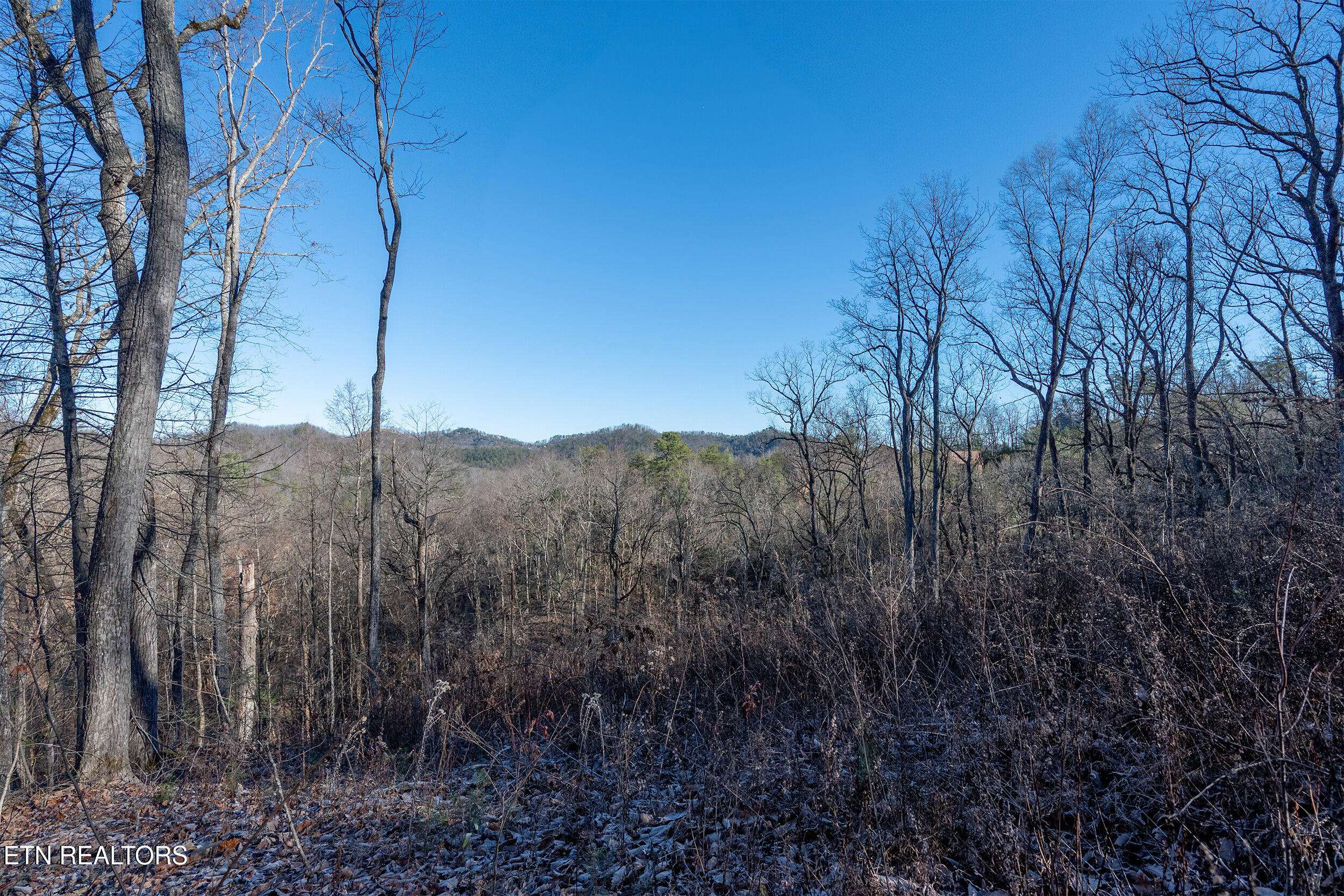 Sevierville, TN 37862,Lot 51 Cloud View DR