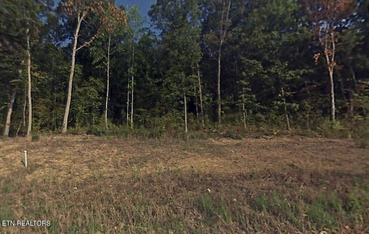 Seymour, TN 37865,Lot 39 Bobbie Jean LN