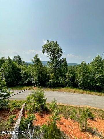 New Tazewell, TN 37825,Feldspar Rd