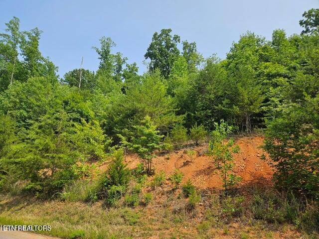 New Tazewell, TN 37825,Feldspar Rd