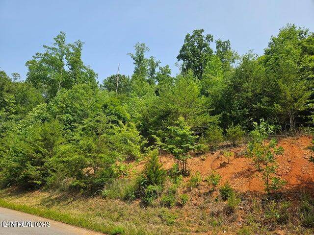 New Tazewell, TN 37825,Feldspar Rd