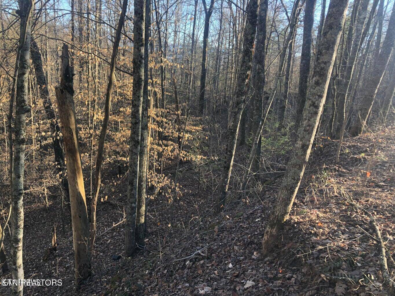 Sevierville, TN 37876,Lot 68 Yellowwood DR